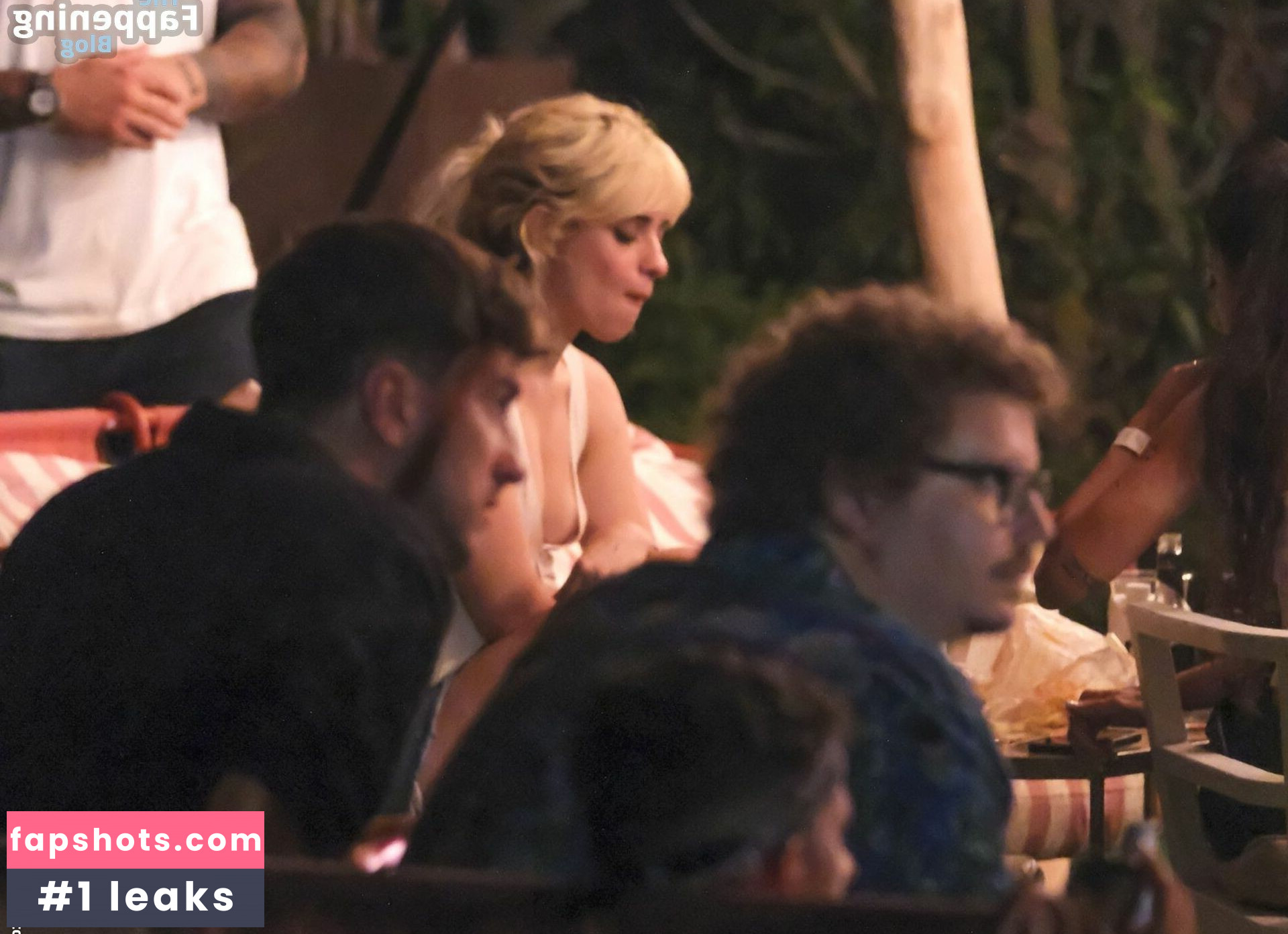 Camila Cabello Filtración Desnuda OnlyFans Foto #504 - Fapshots