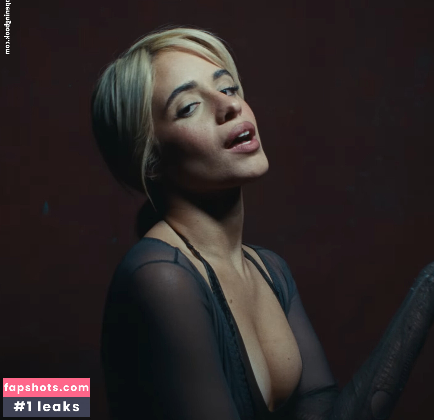 Camila Cabello Filtración Desnuda OnlyFans Foto #531 - Fapshots