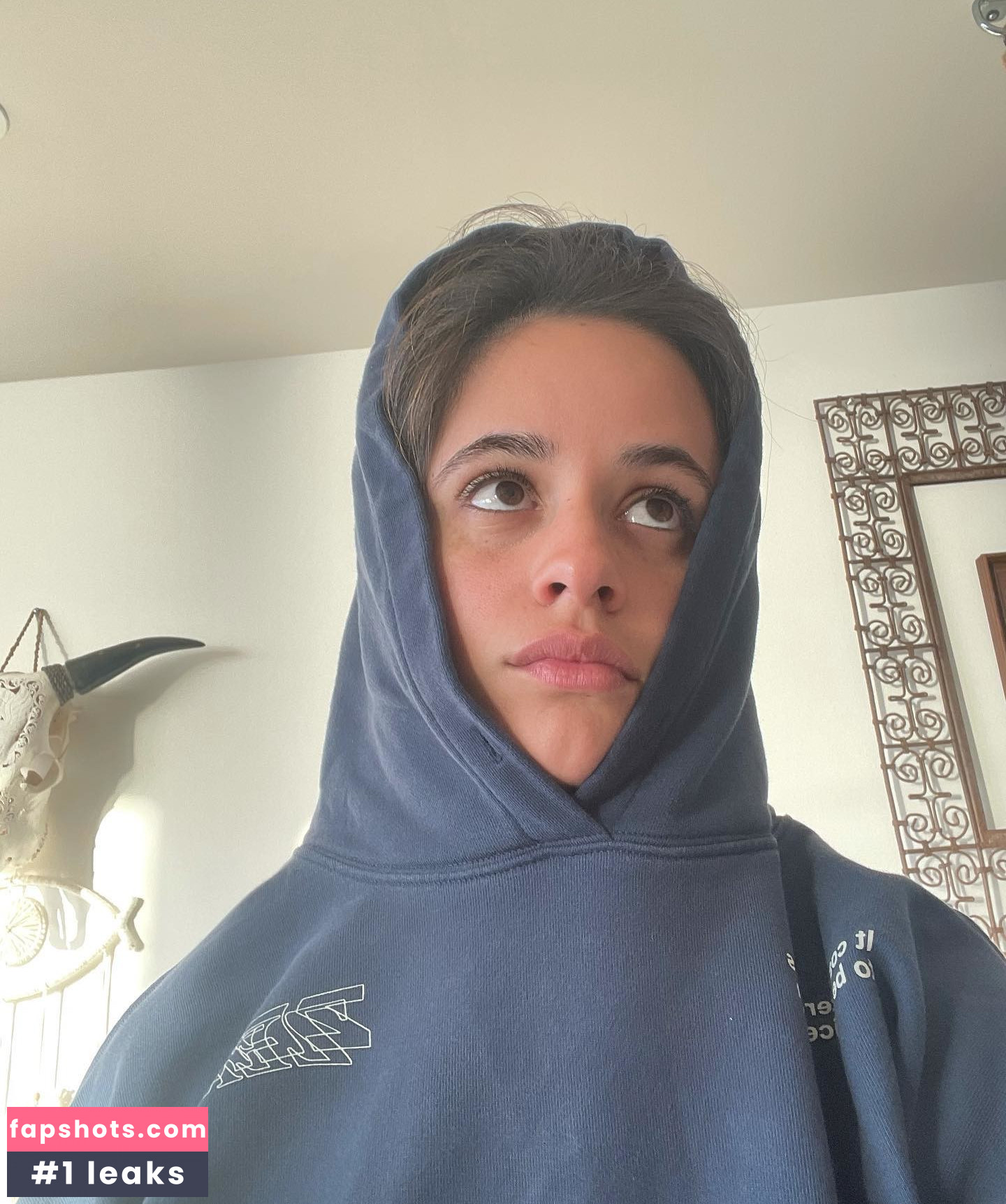 Camila Cabello gallery photo #971