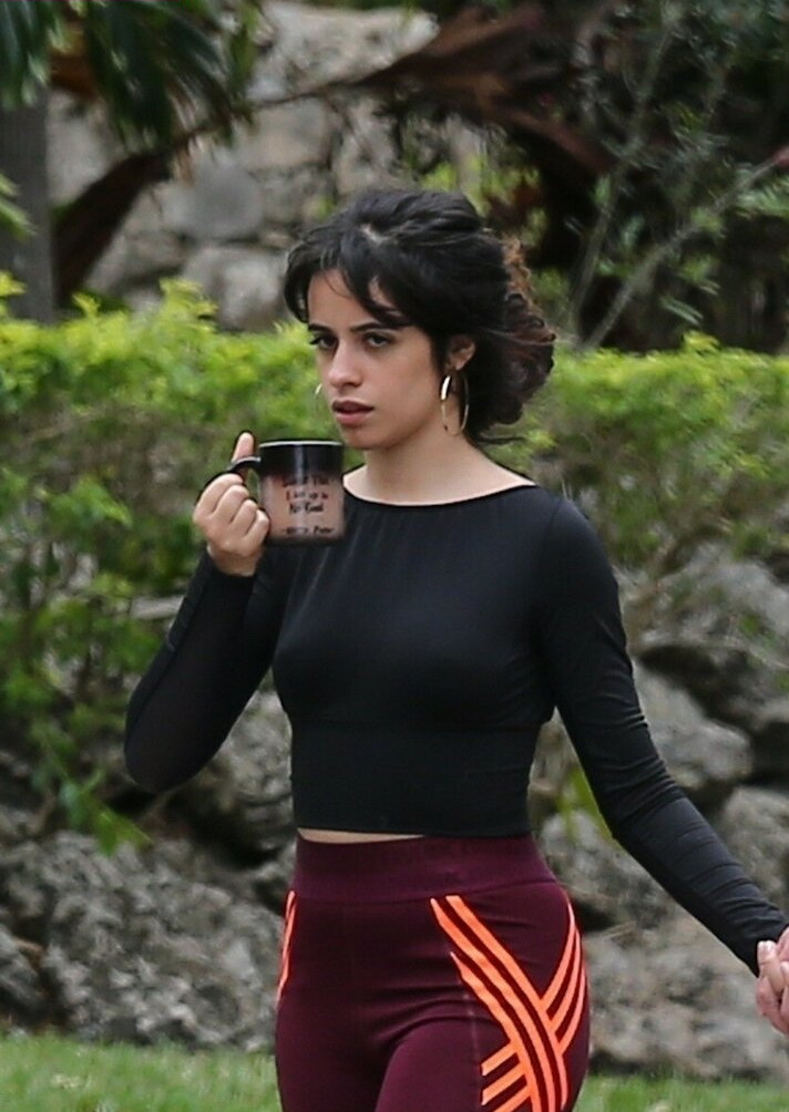 camila-cabello gallery photo #2584