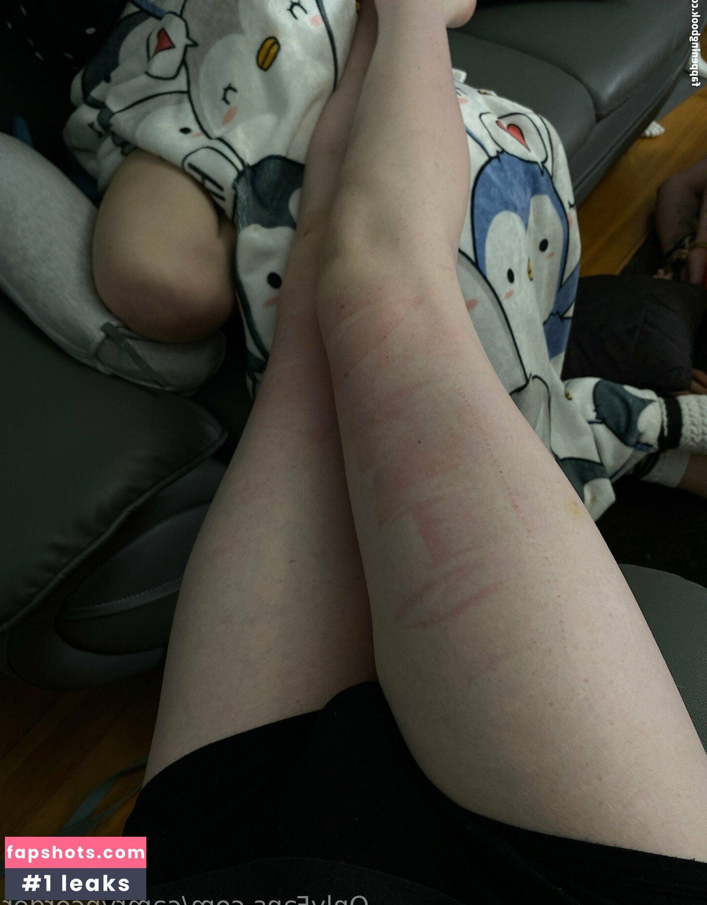 camryncorder gallery photo #8