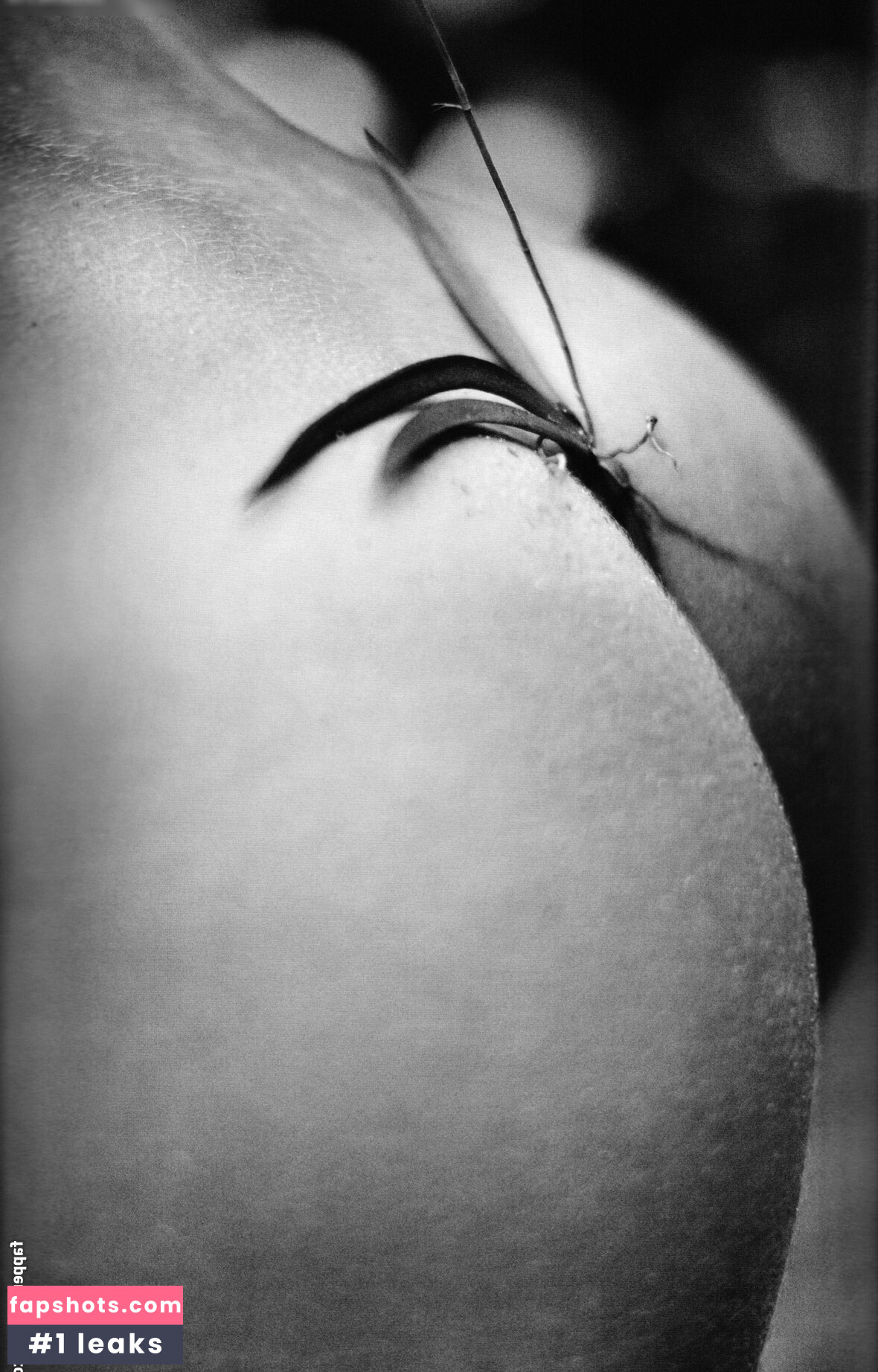 Candice Swanepoel gallery photo #122