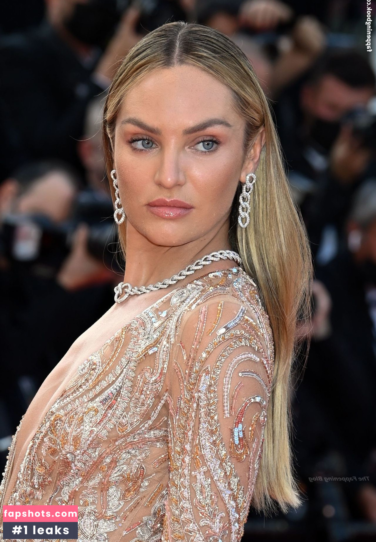 Candice Swanepoel gallery photo #566