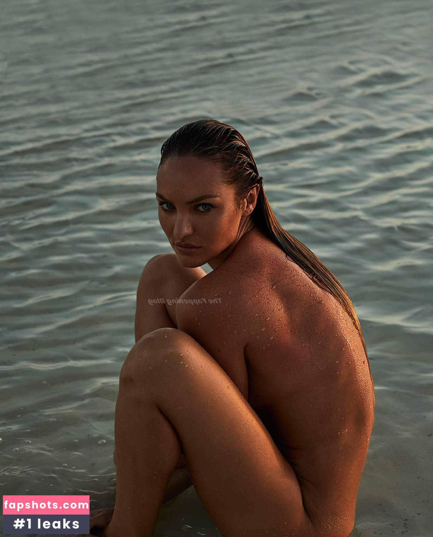 Candice Swanepoel gallery photo #628