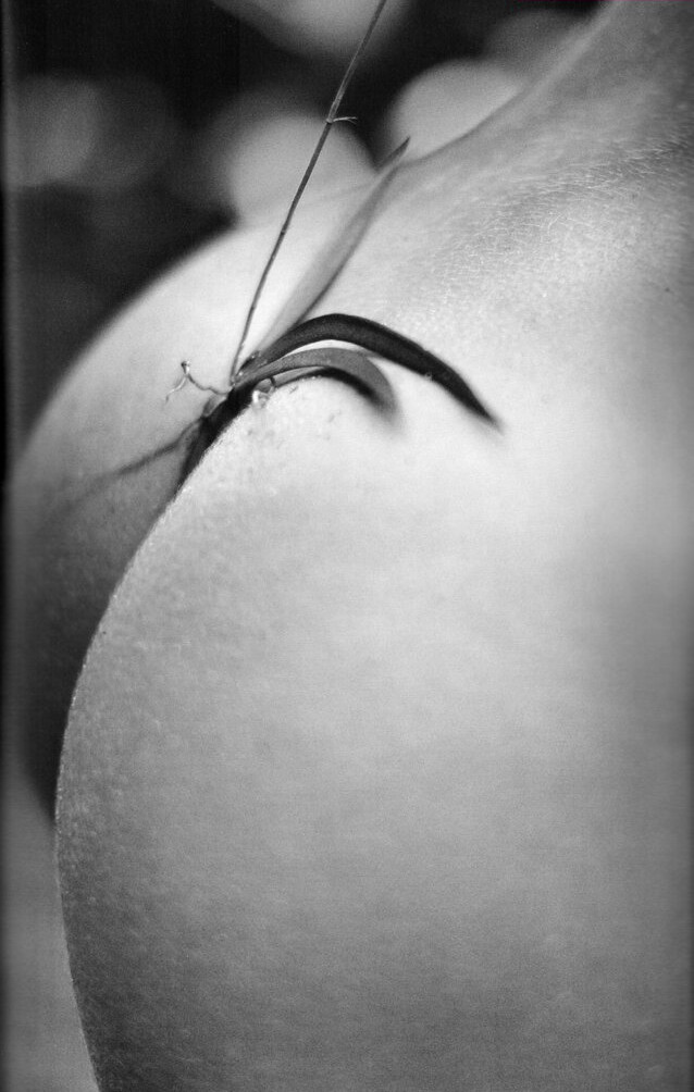 candice-swanepoel Nude Leaks OnlyFans Photos #1194 - LeakJerk