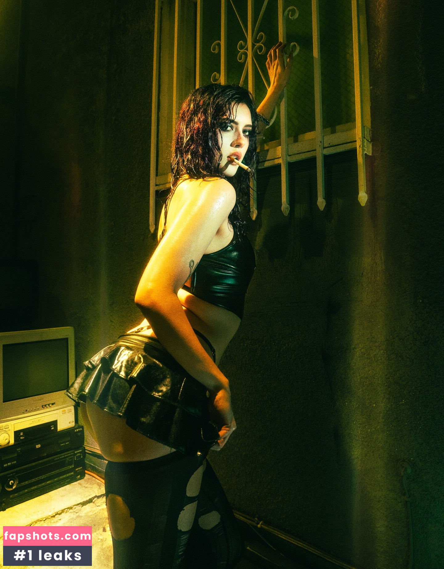 Candylion gallery photo #5