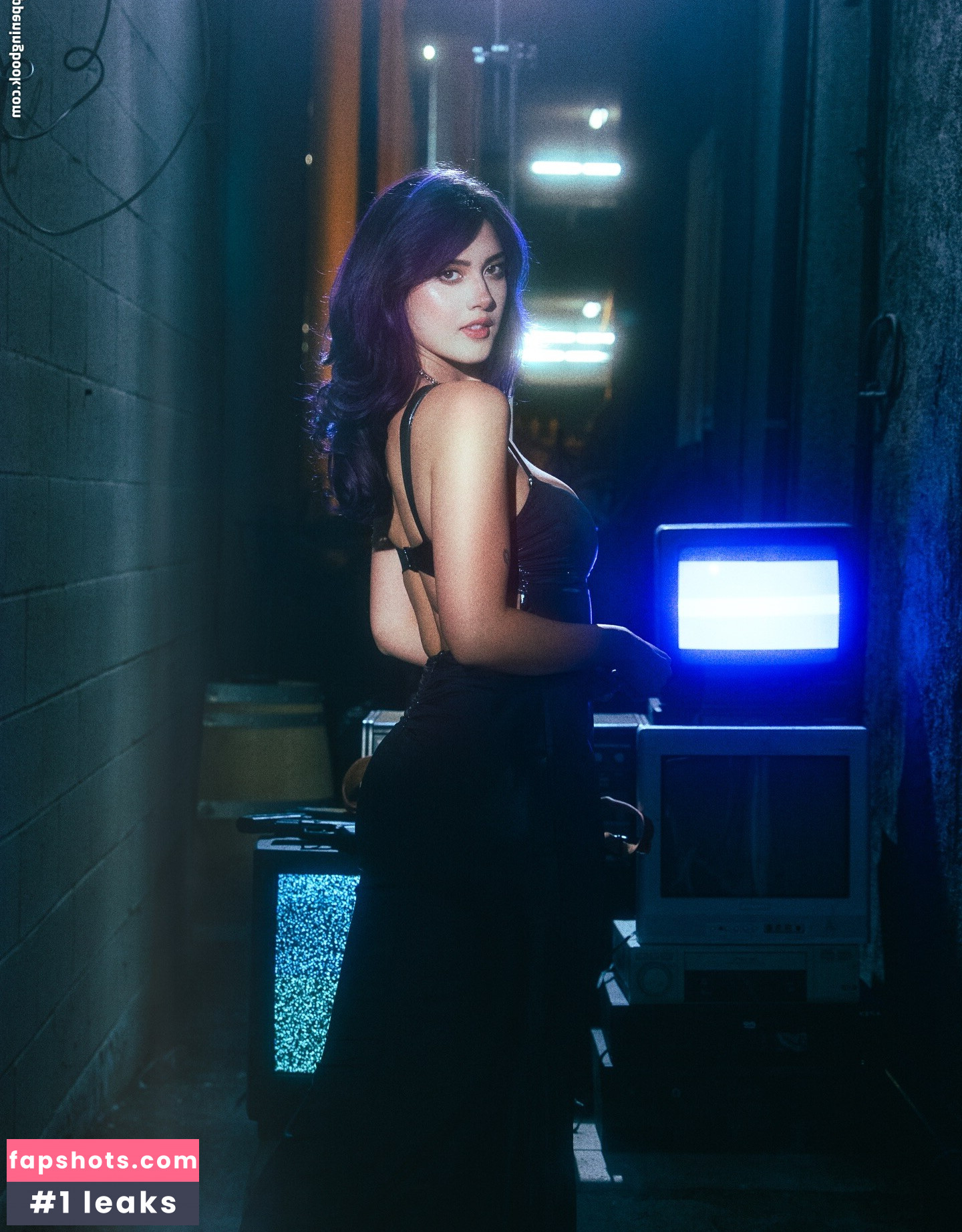 Candylion gallery photo #8