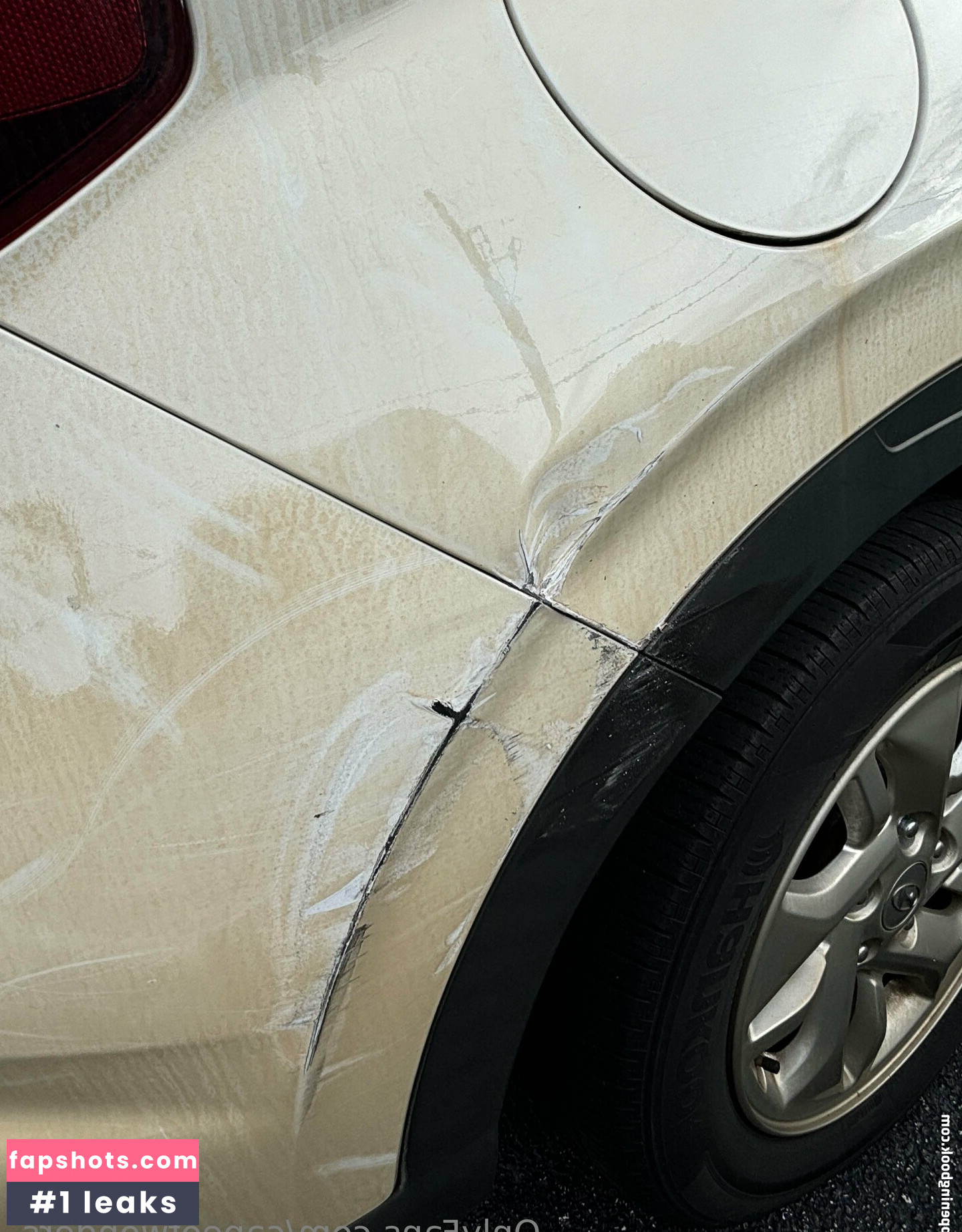 Capeofwonders gallery photo #15