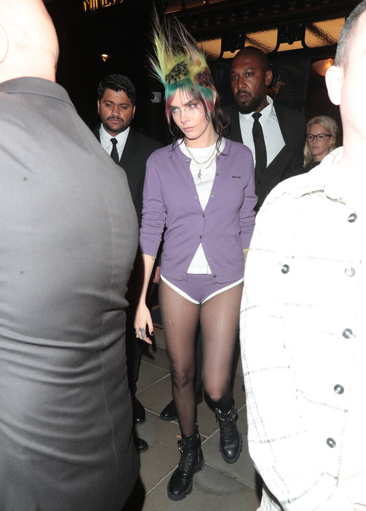 cara-delevingne Nude Leaks OnlyFans Photos #1233 - LeakJerk