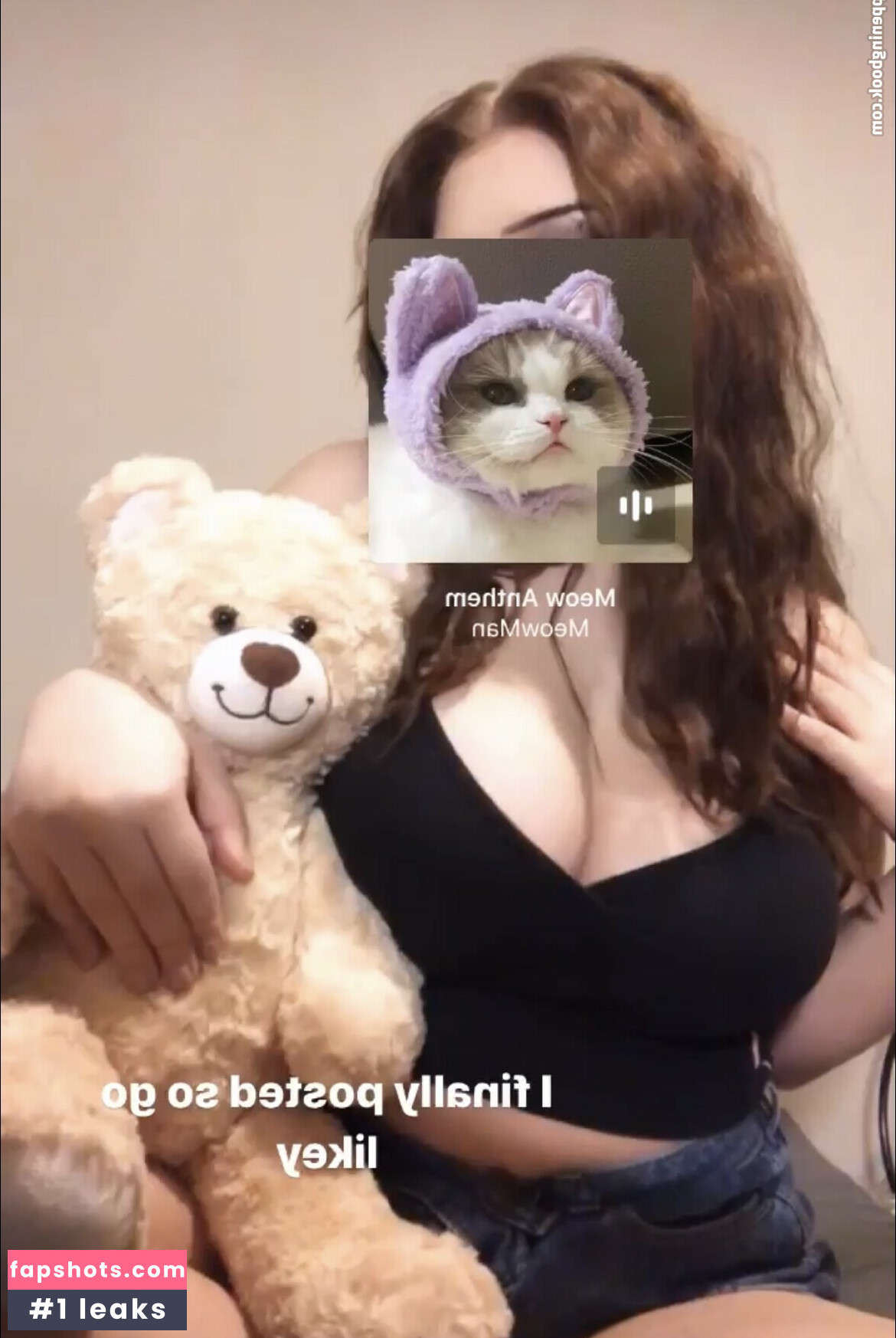 Carabobeara1 gallery photo #6