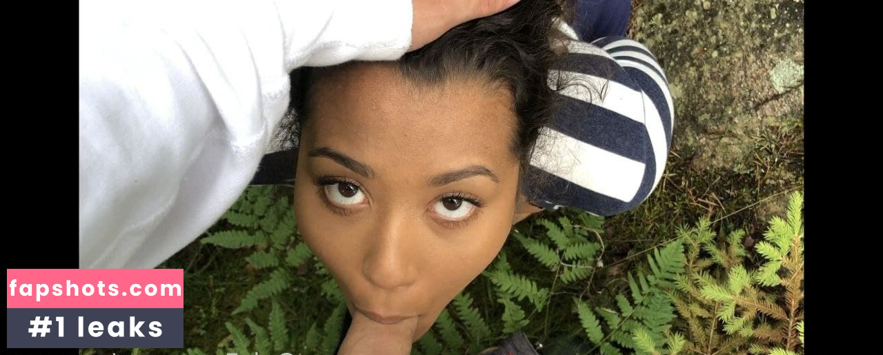 Caravega gallery photo #10