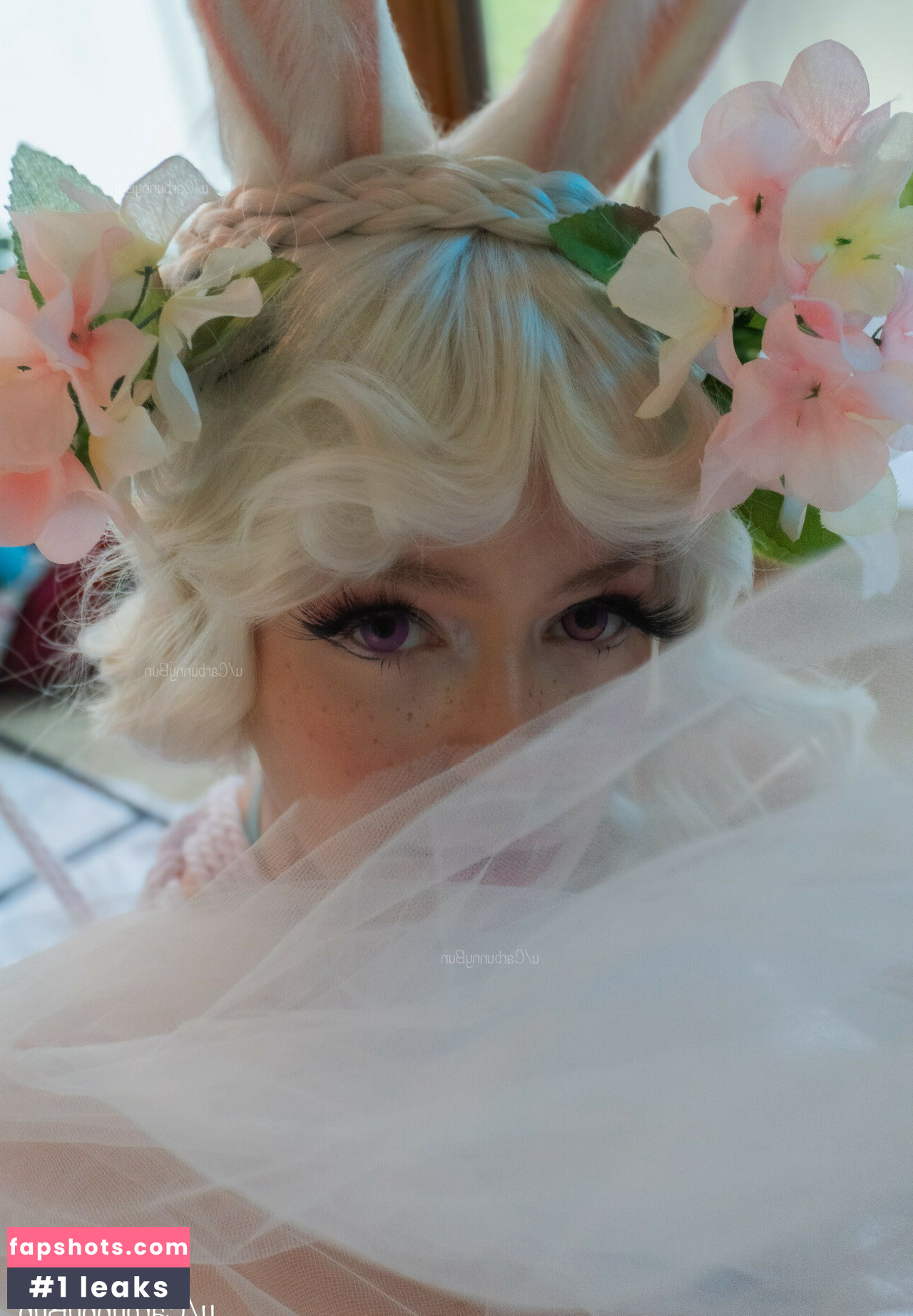 Carbunny gallery photo #2