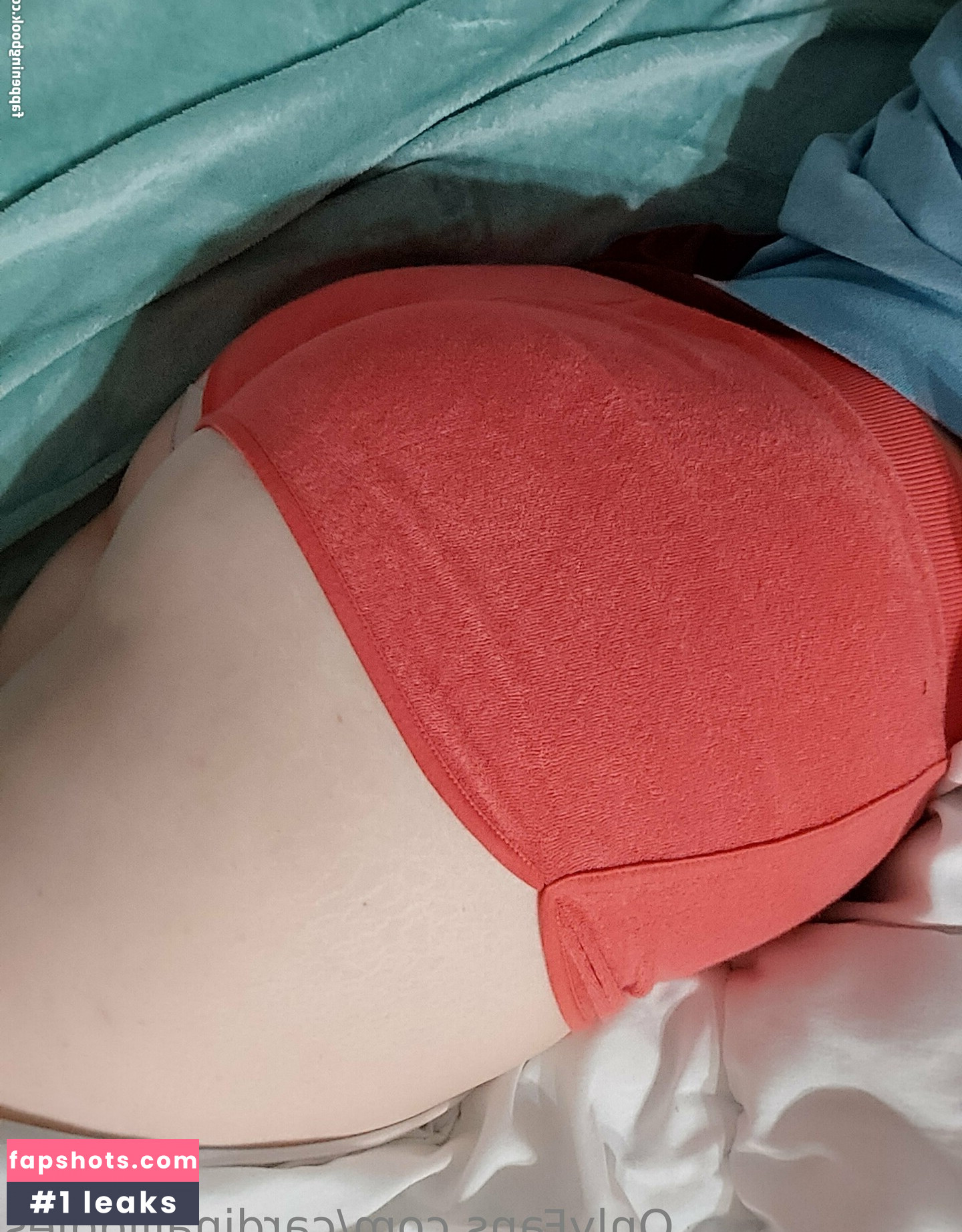 cardinaljiggles gallery photo #15