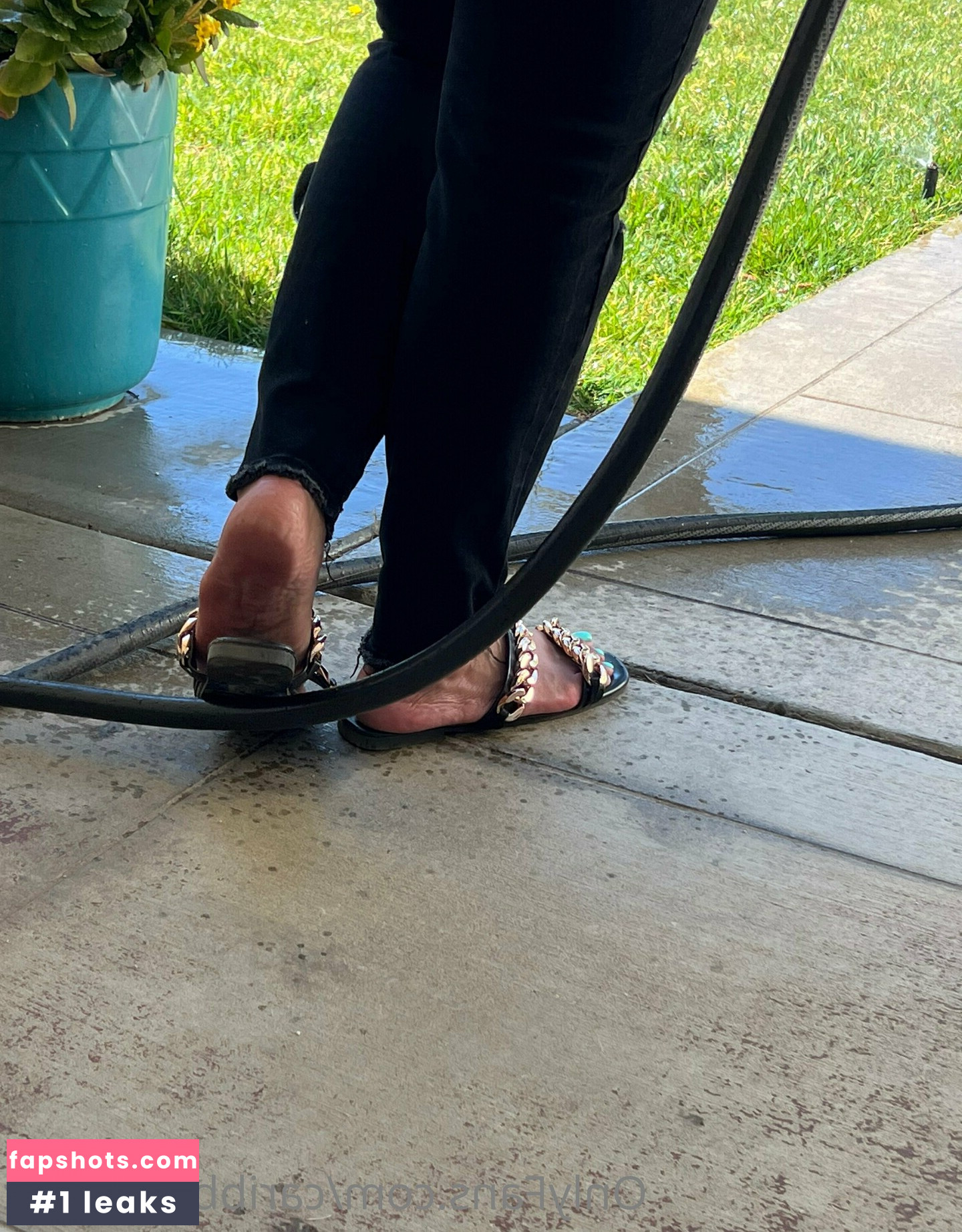 caribbeansolez gallery photo #110