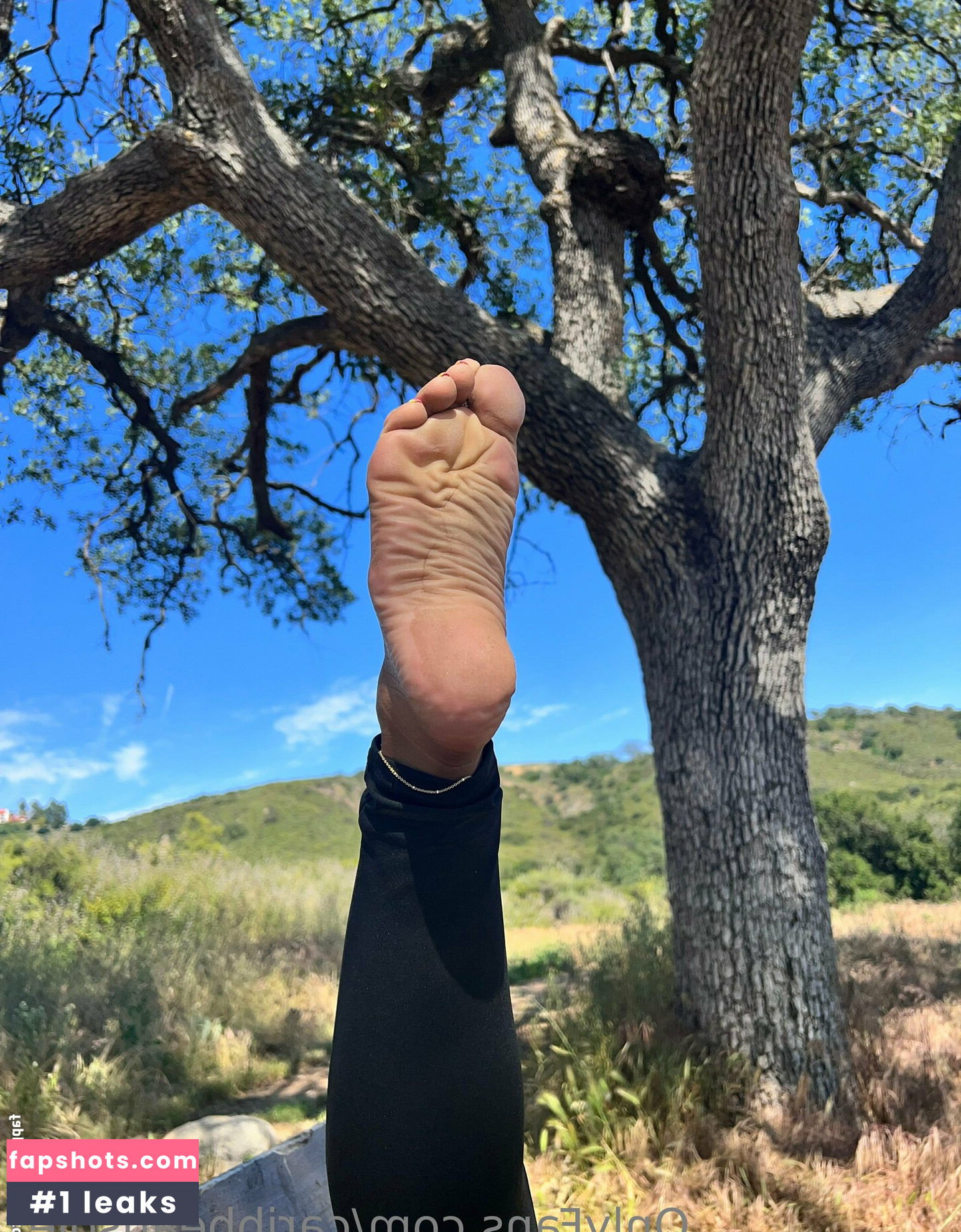 caribbeansolez gallery photo #66