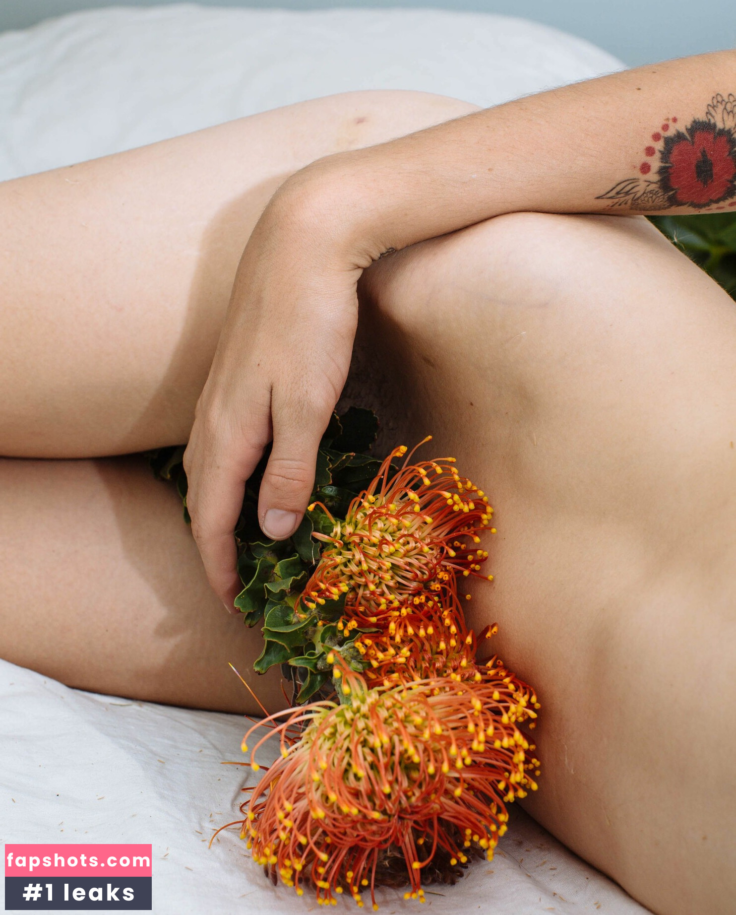 Carly Foulkes gallery photo #16