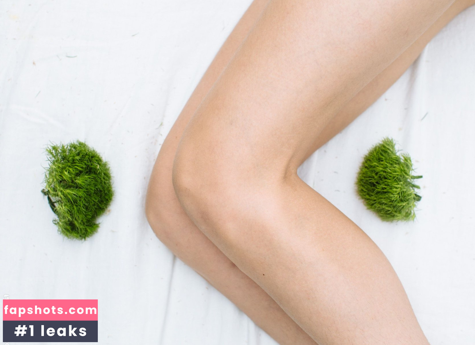 Carly Foulkes gallery photo #79