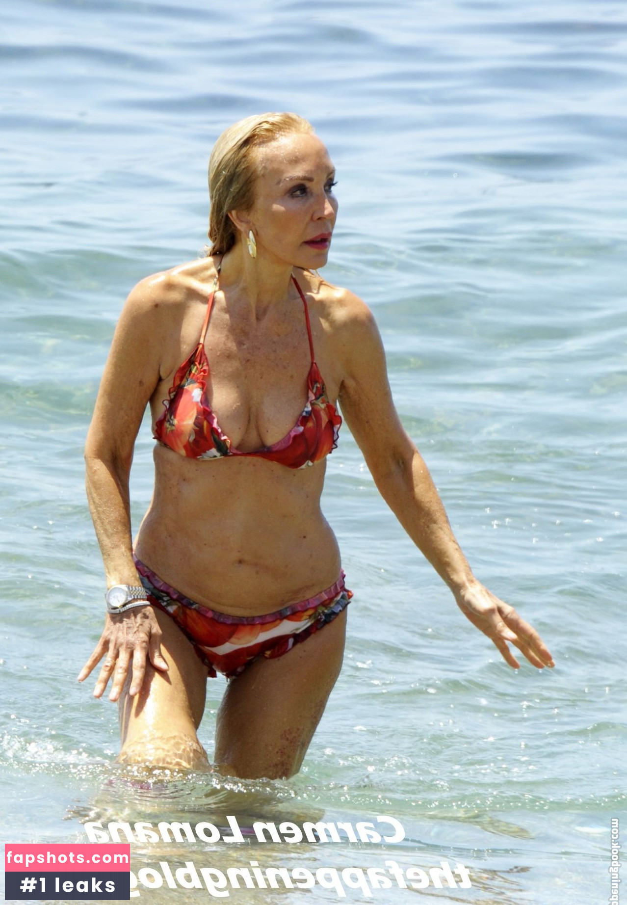 Carmen Lomana Filtración Desnuda OnlyFans Foto #7 - Fapshots