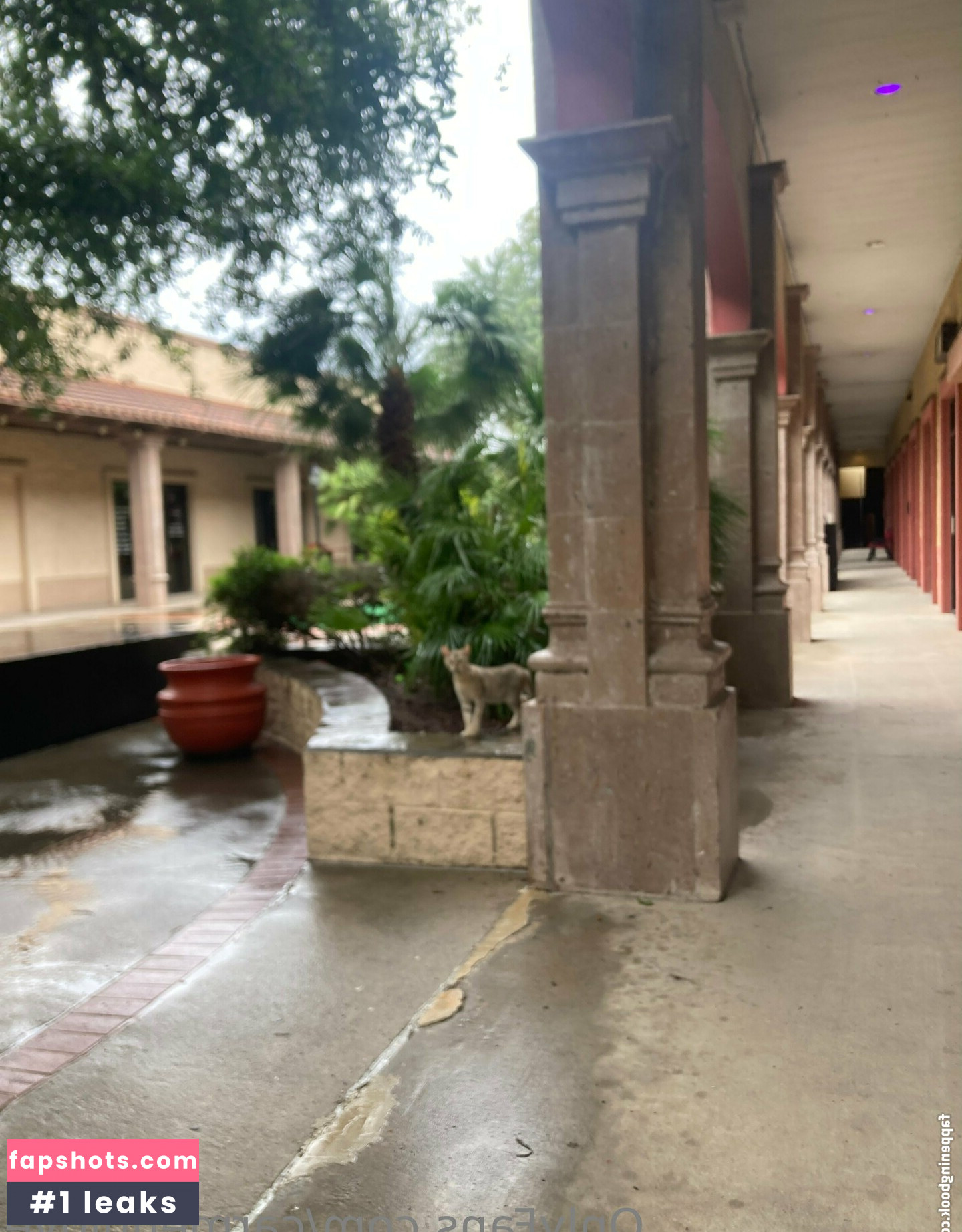 carmennl0ve gallery photo #29