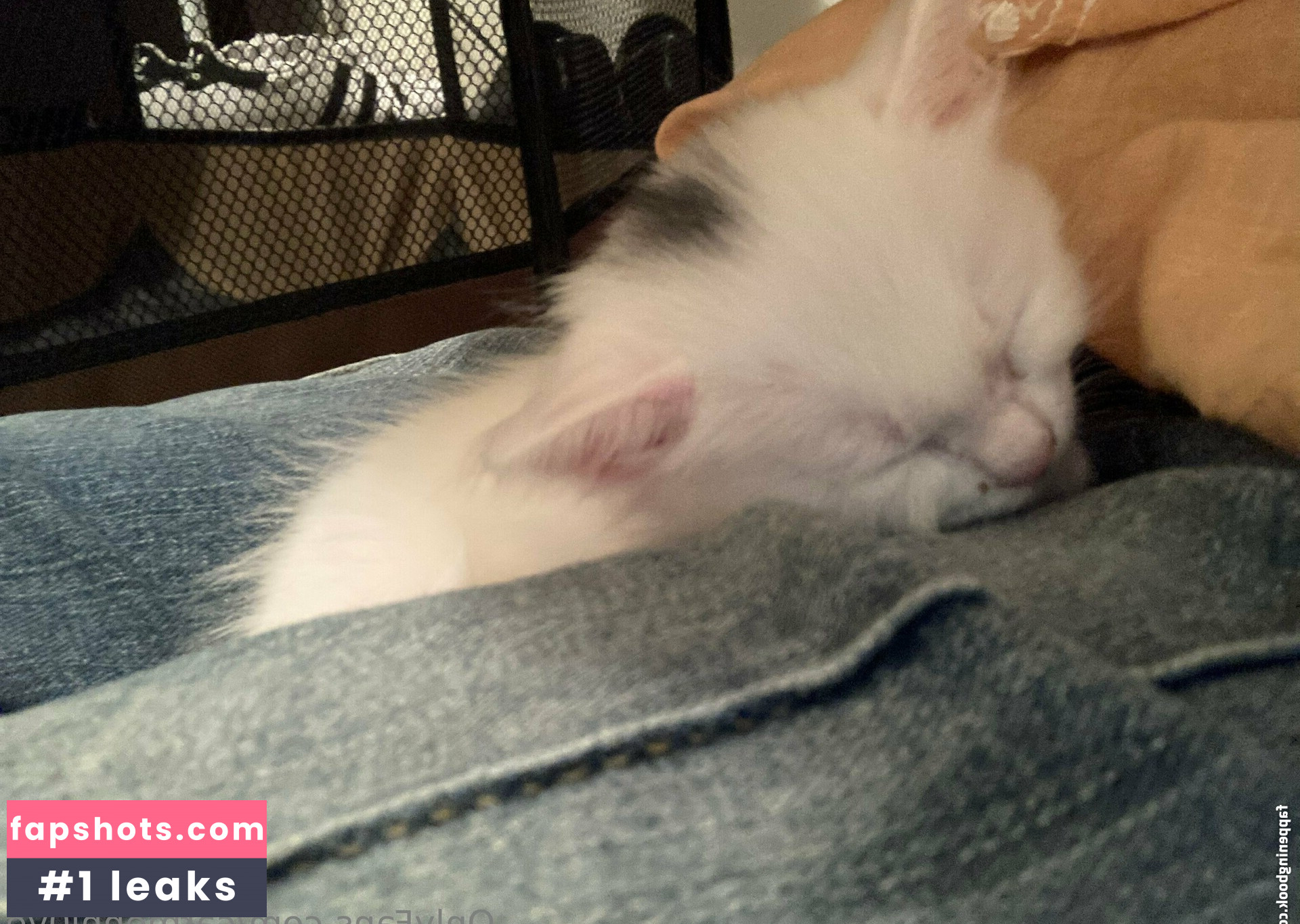 carmennl0ve gallery photo #7