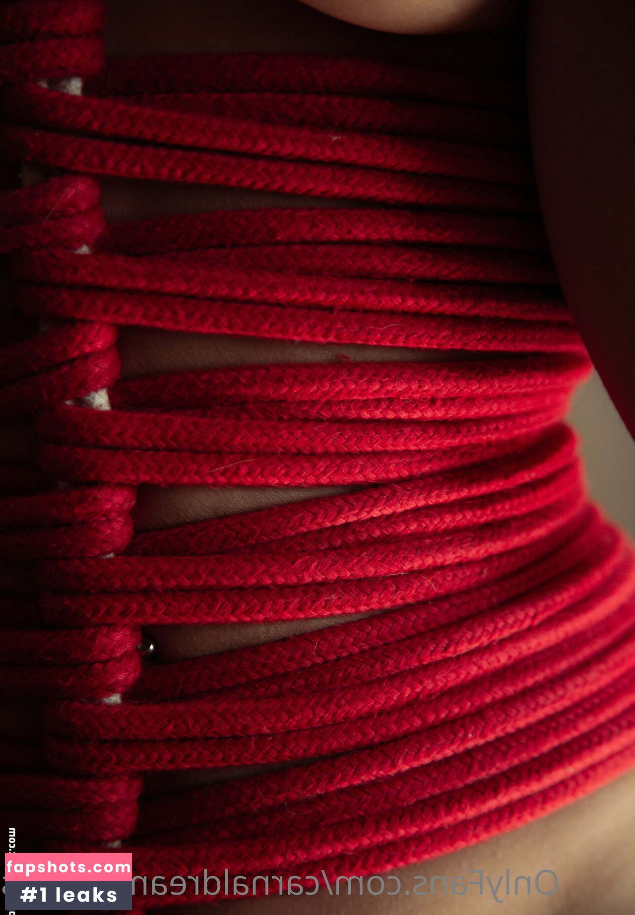 carnaldreamstudios gallery photo #4