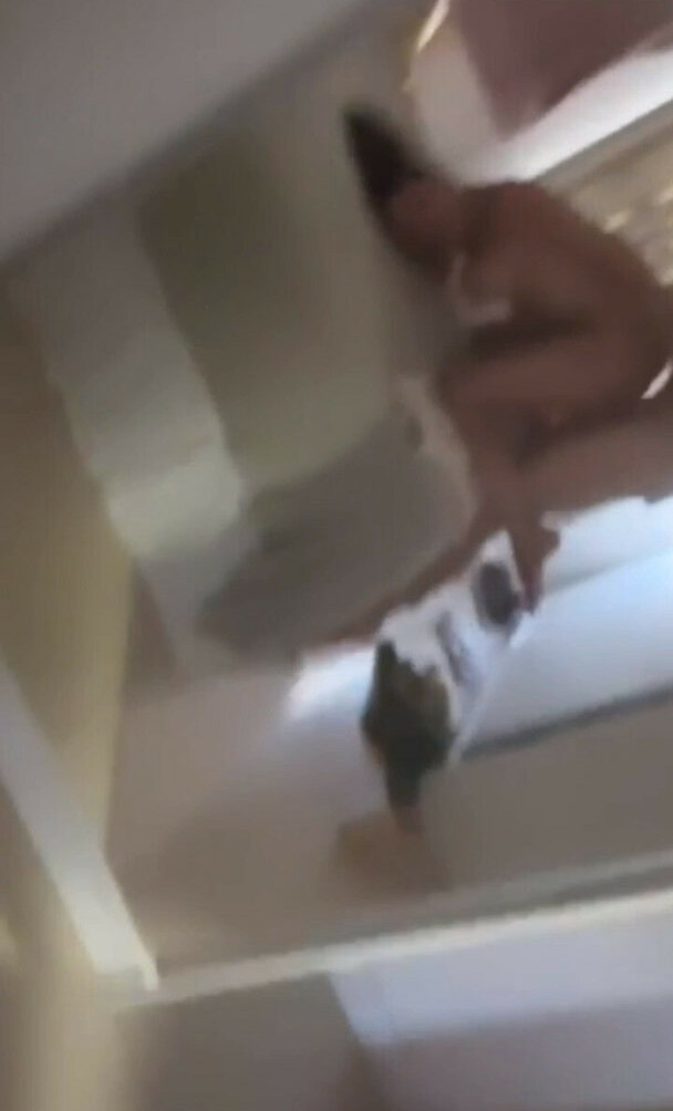 carol-muniz gallery photo #618