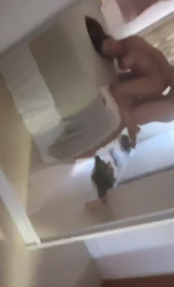 carol-muniz gallery photo #620