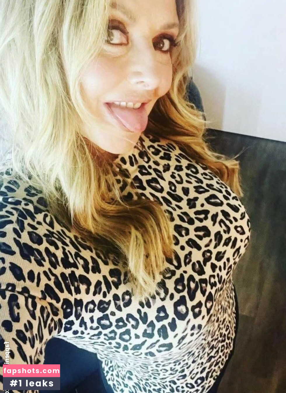 Carol Vorderman gallery photo #2