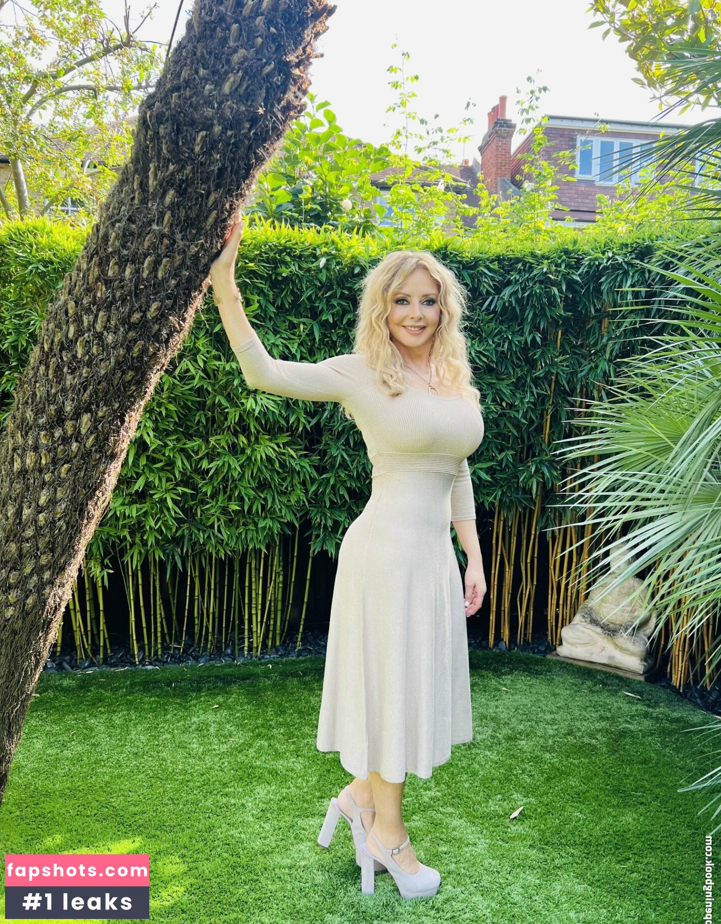 Carol Vorderman gallery photo #106