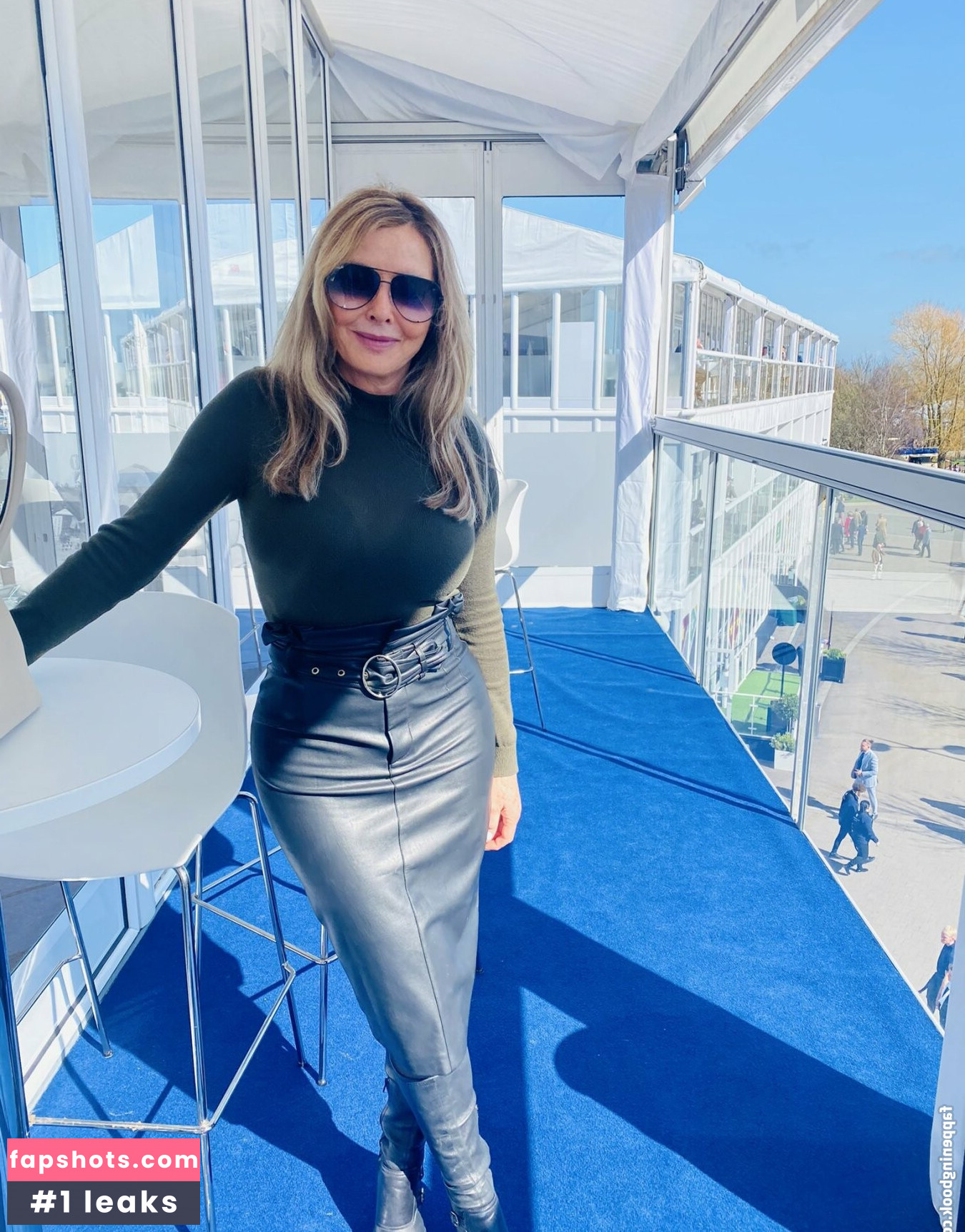 Carol Vorderman gallery photo #186