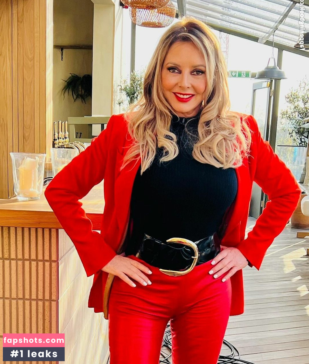 Carol Vorderman gallery photo #228