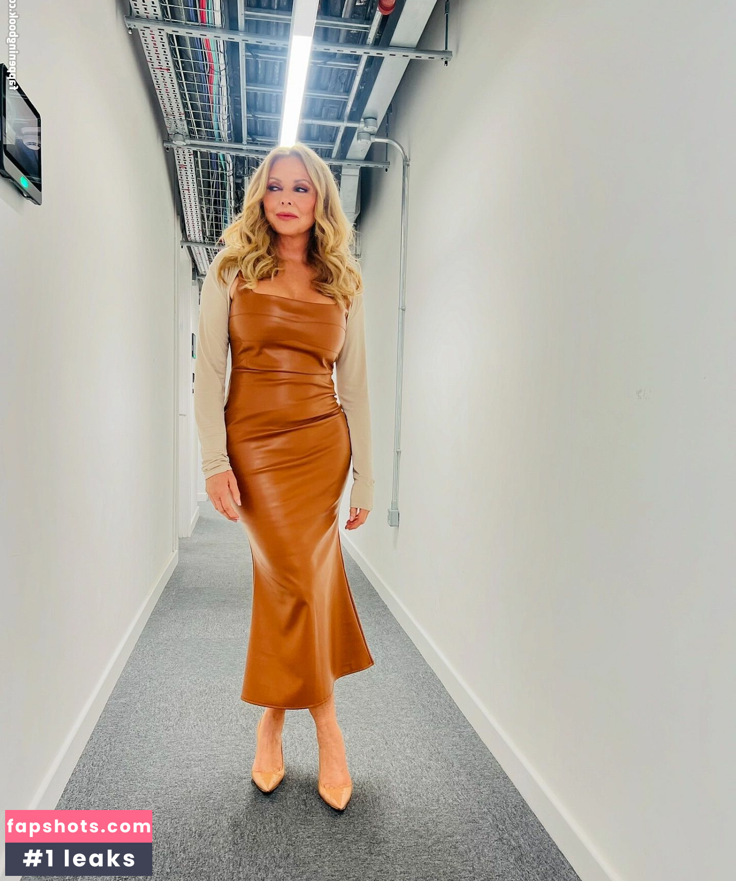 Carol Vorderman gallery photo #76