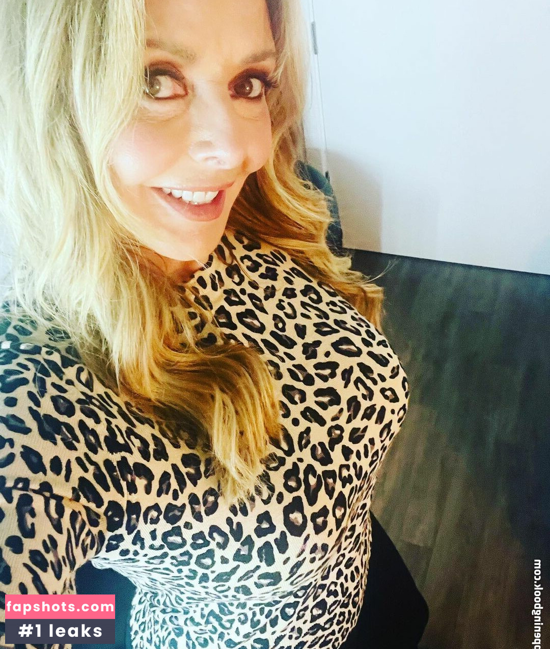 Carol Vorderman gallery photo #91