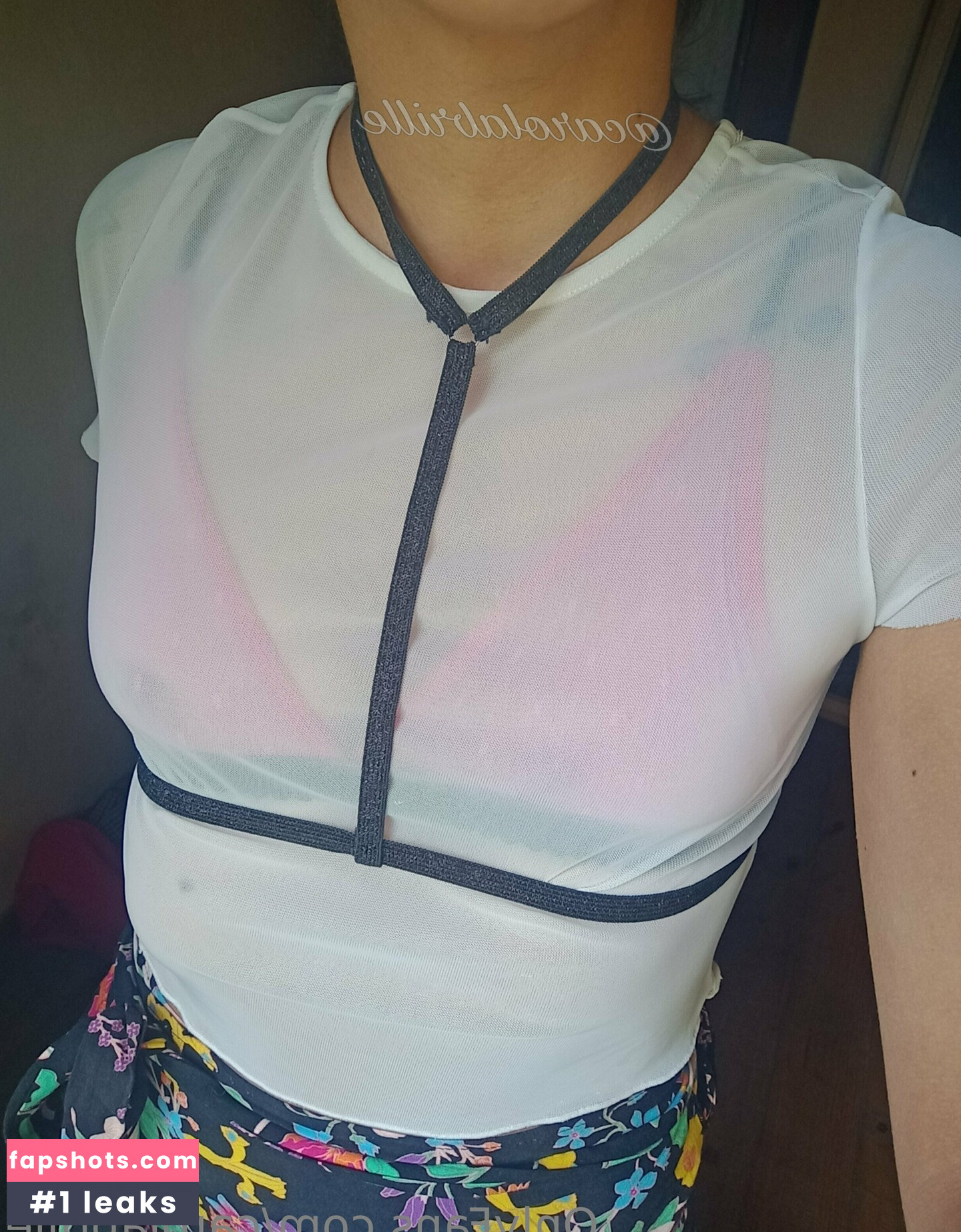 carolabrille gallery photo #10