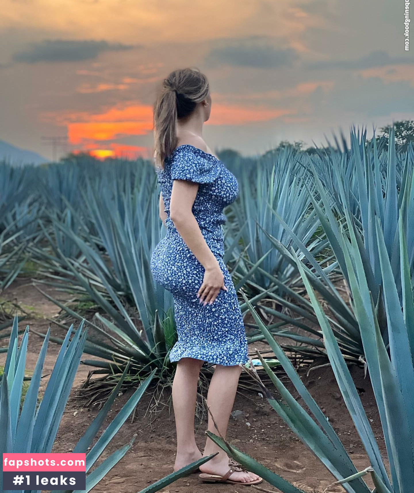 Carolina Marquez gallery photo #11