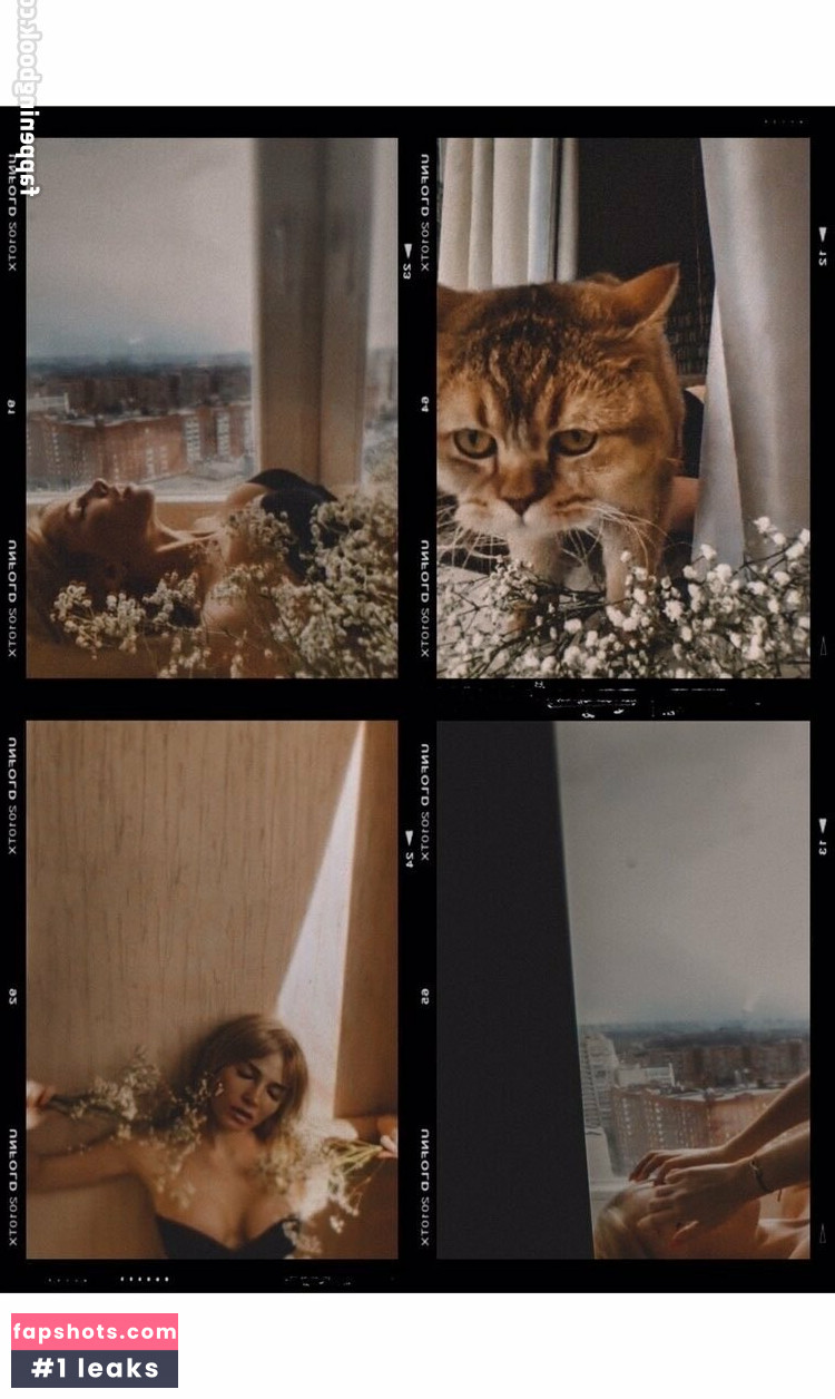 carolinaherera gallery photo #4