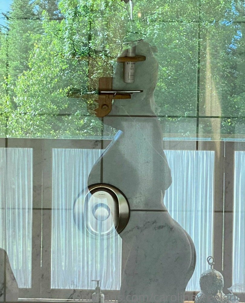 caroline-vreeland gallery photo #611