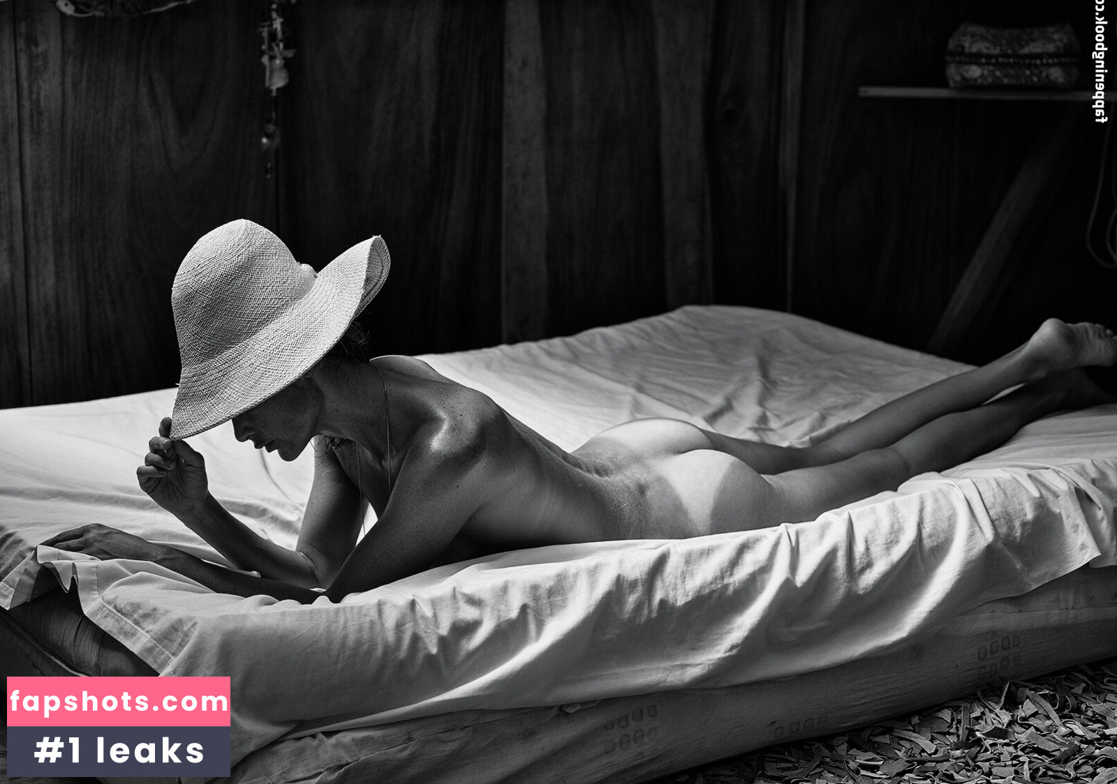 Carolyn Murphy gallery photo #23