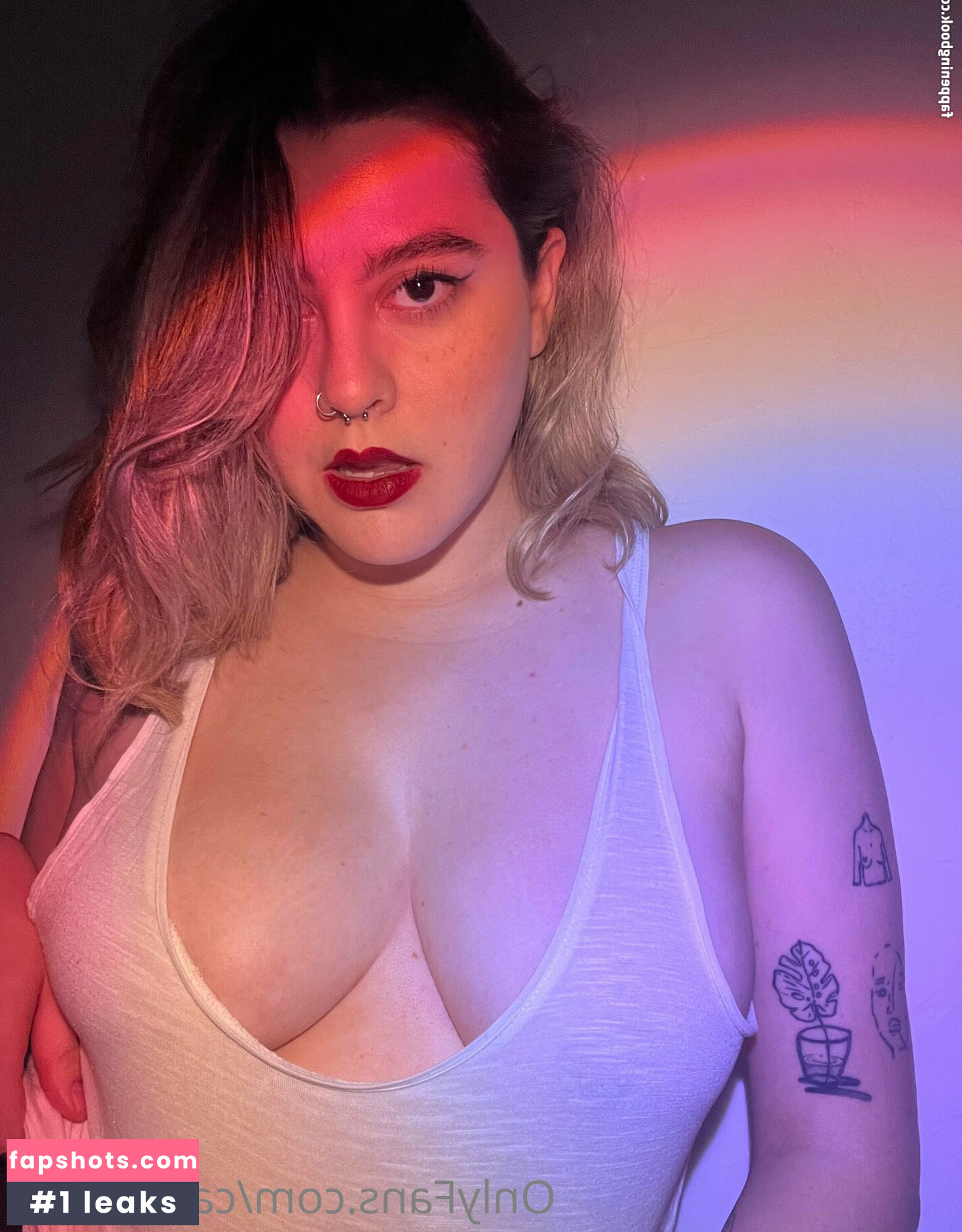 Carrenopol gallery photo #58