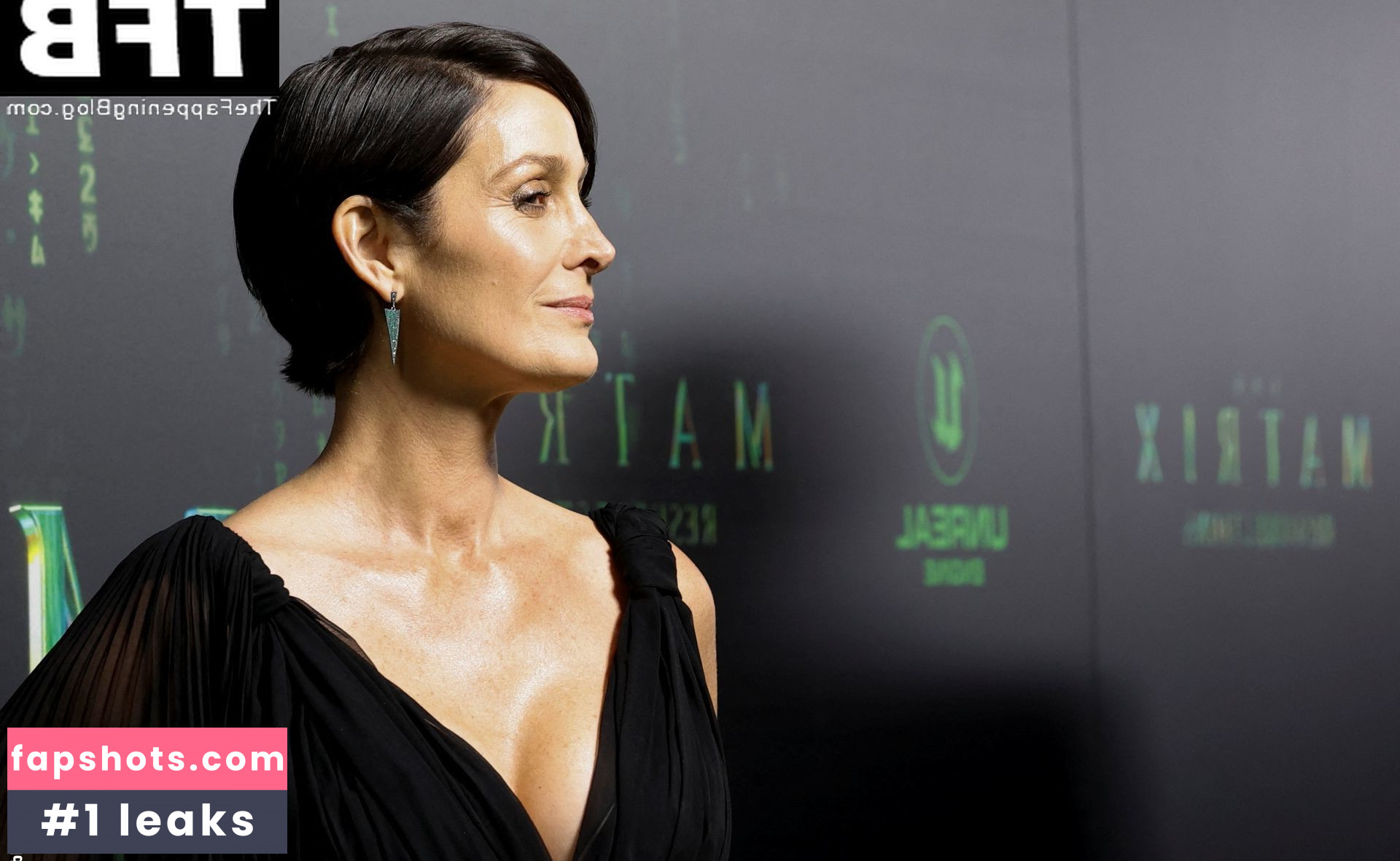 Carrie-Anne Moss gallery photo #41