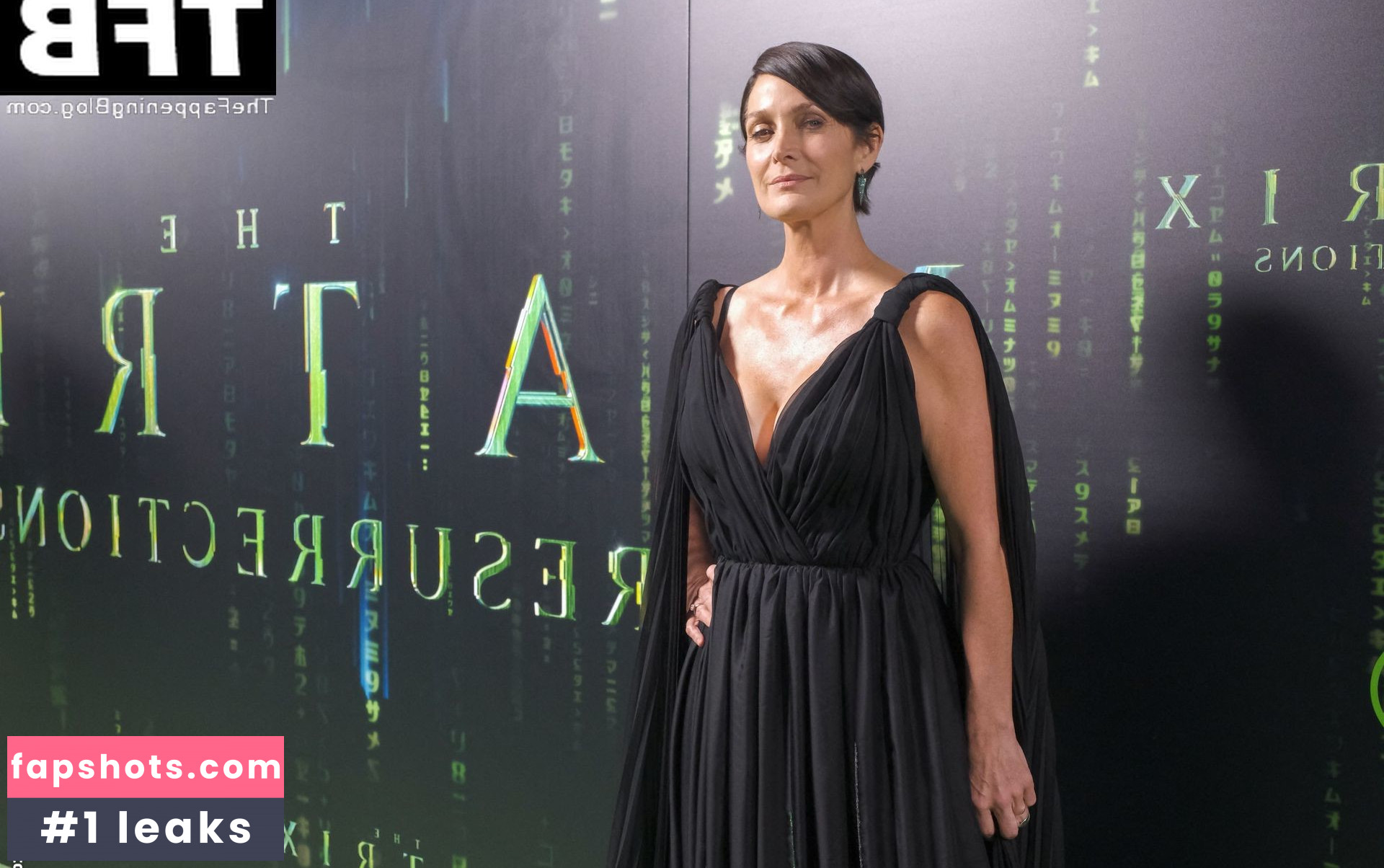 Carrie-Anne Moss gallery photo #43