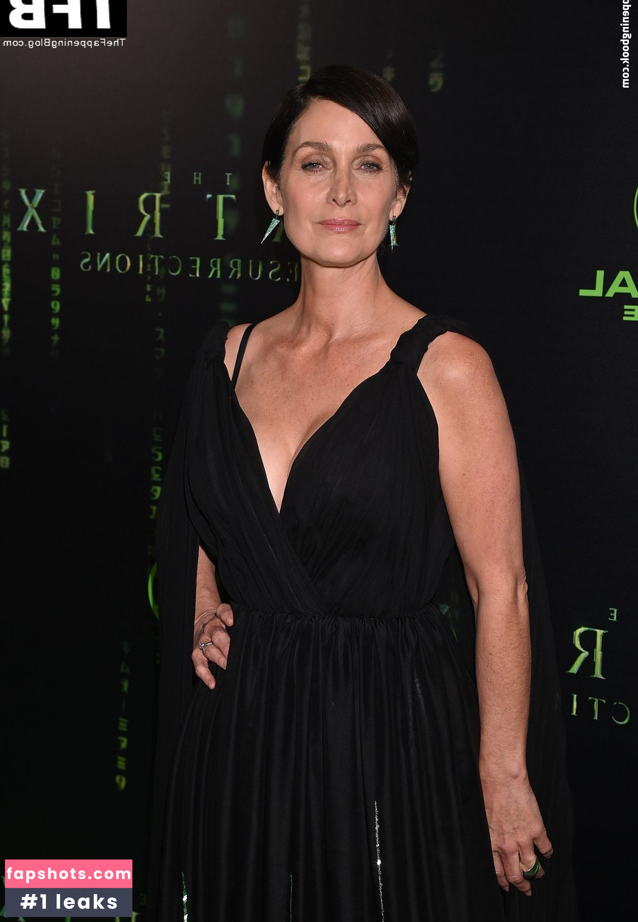 Carrie-Anne Moss gallery photo #66