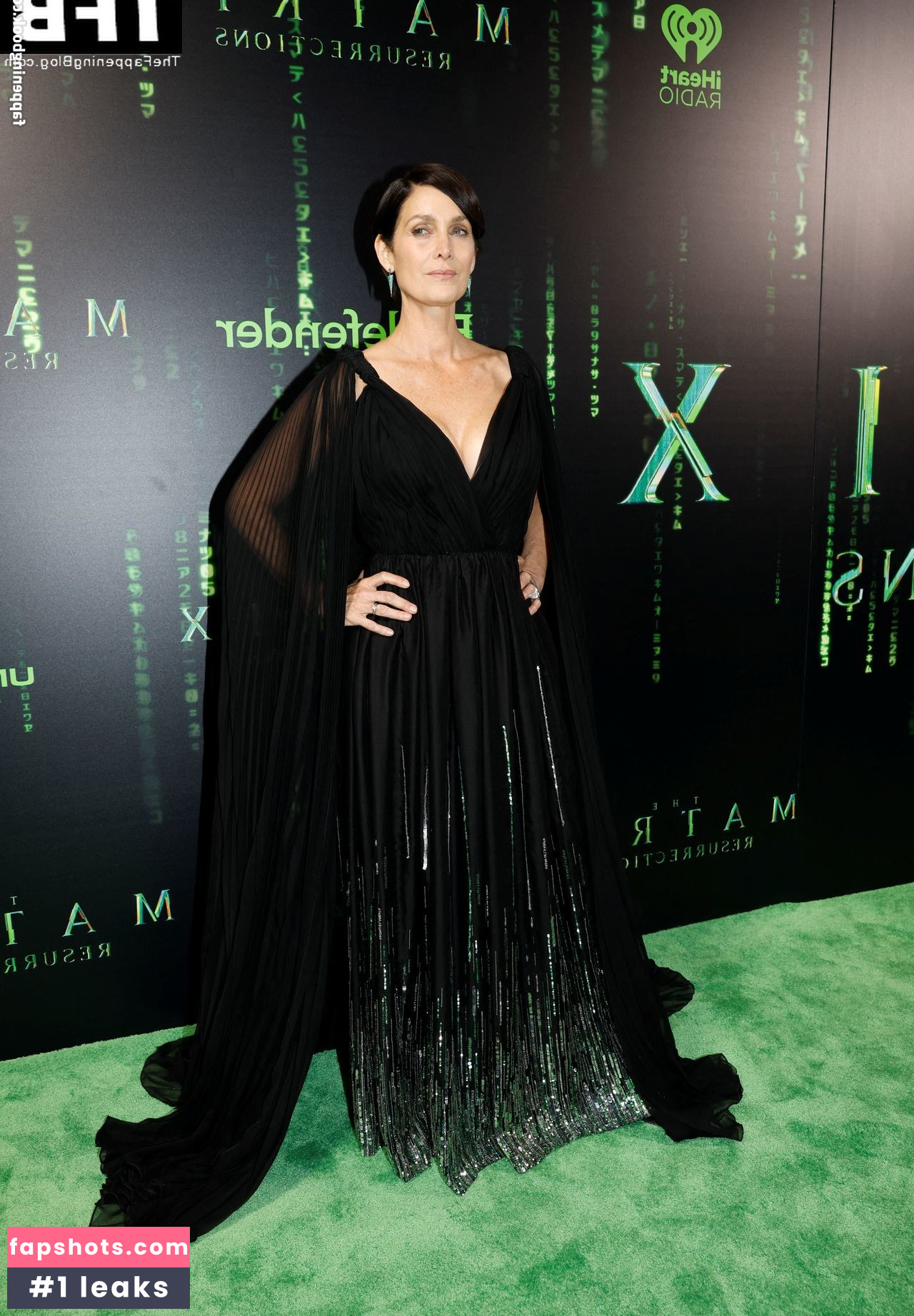 Carrie-Anne Moss gallery photo #72