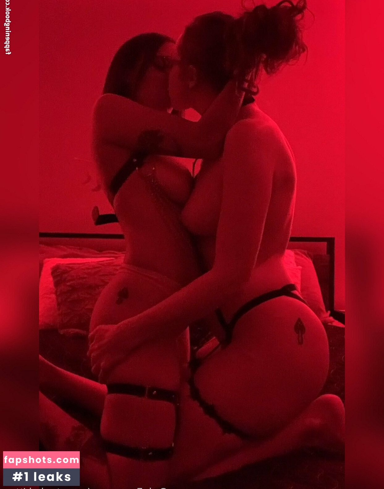 Carrotcakekitten gallery photo #16