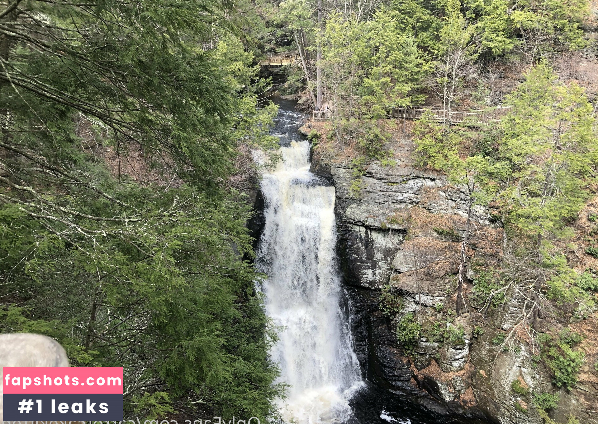 Carrotcakekitten gallery photo #30