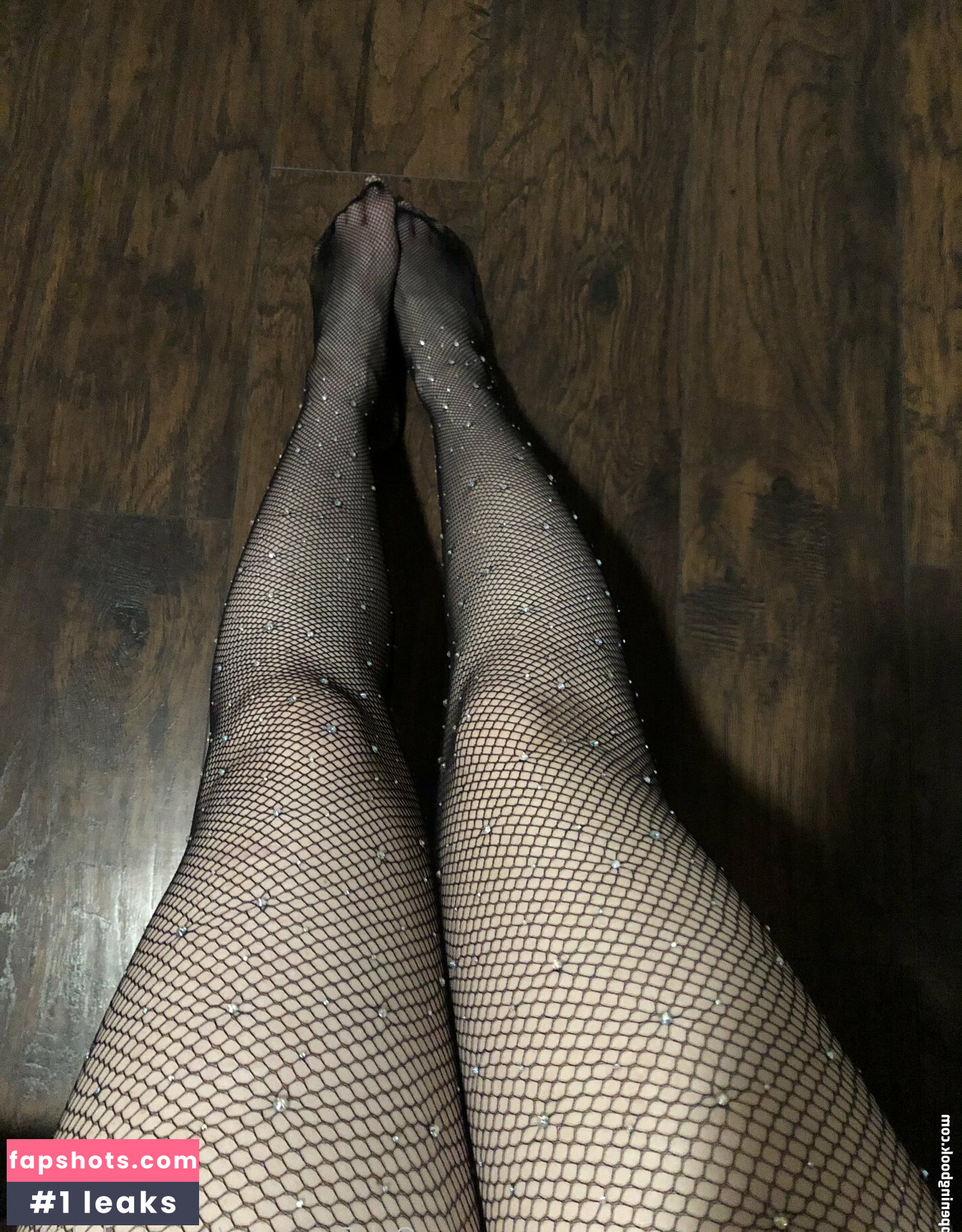 Carrotcakekitten gallery photo #4