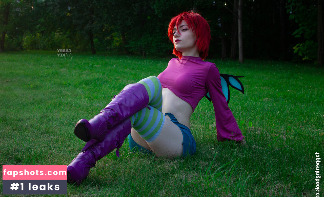 Carrykey gallery photo #240