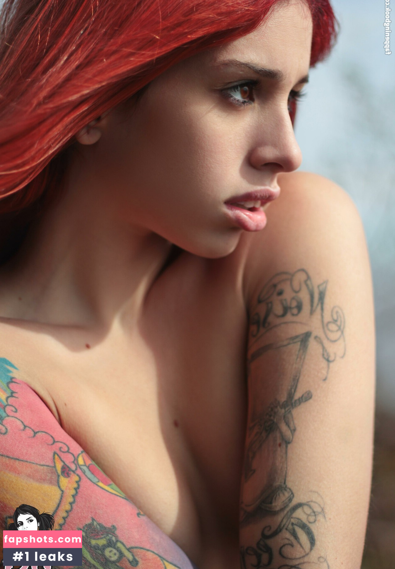 Cartoon SG gallery photo #47