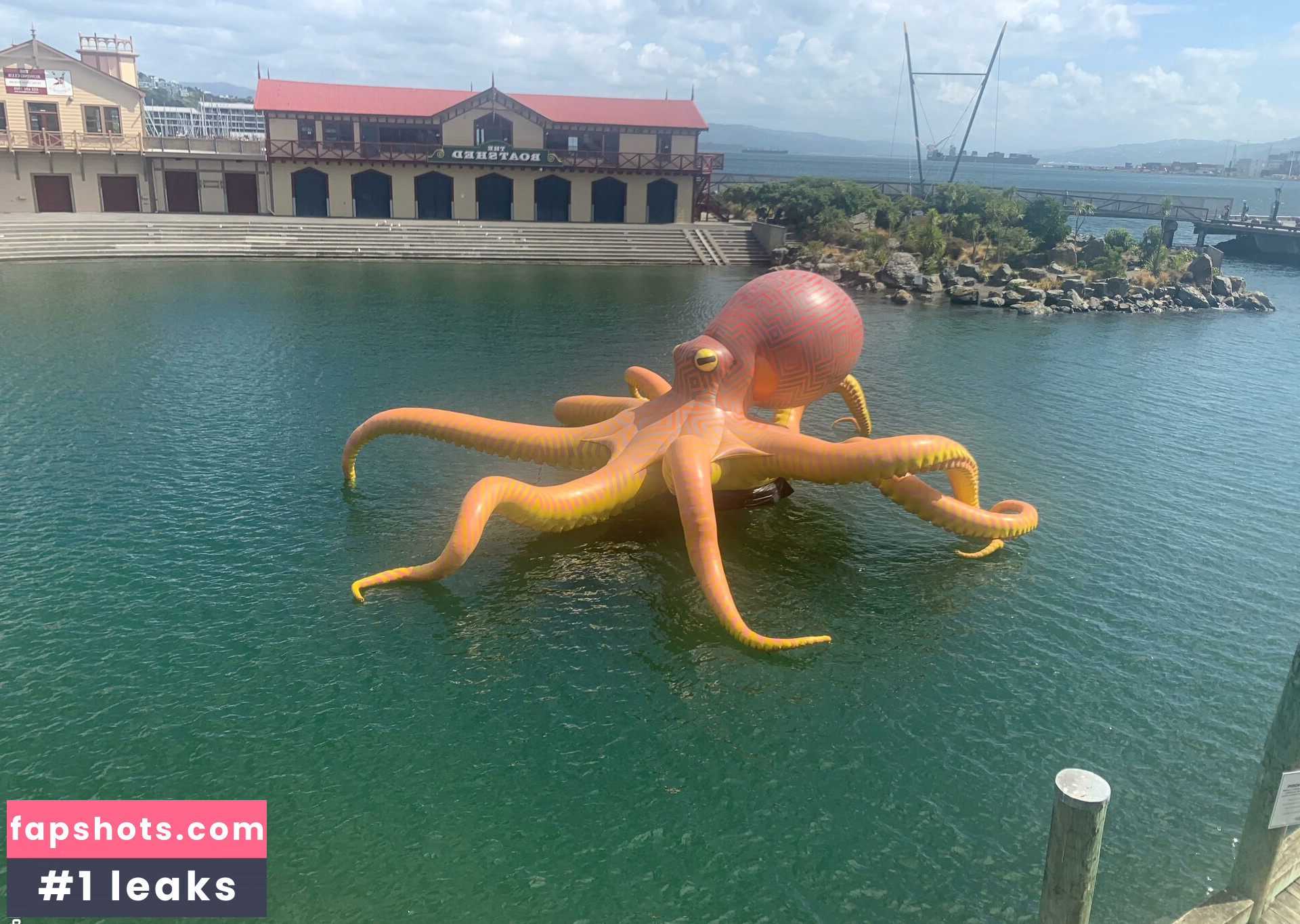 Cassia Grace gallery photo #29