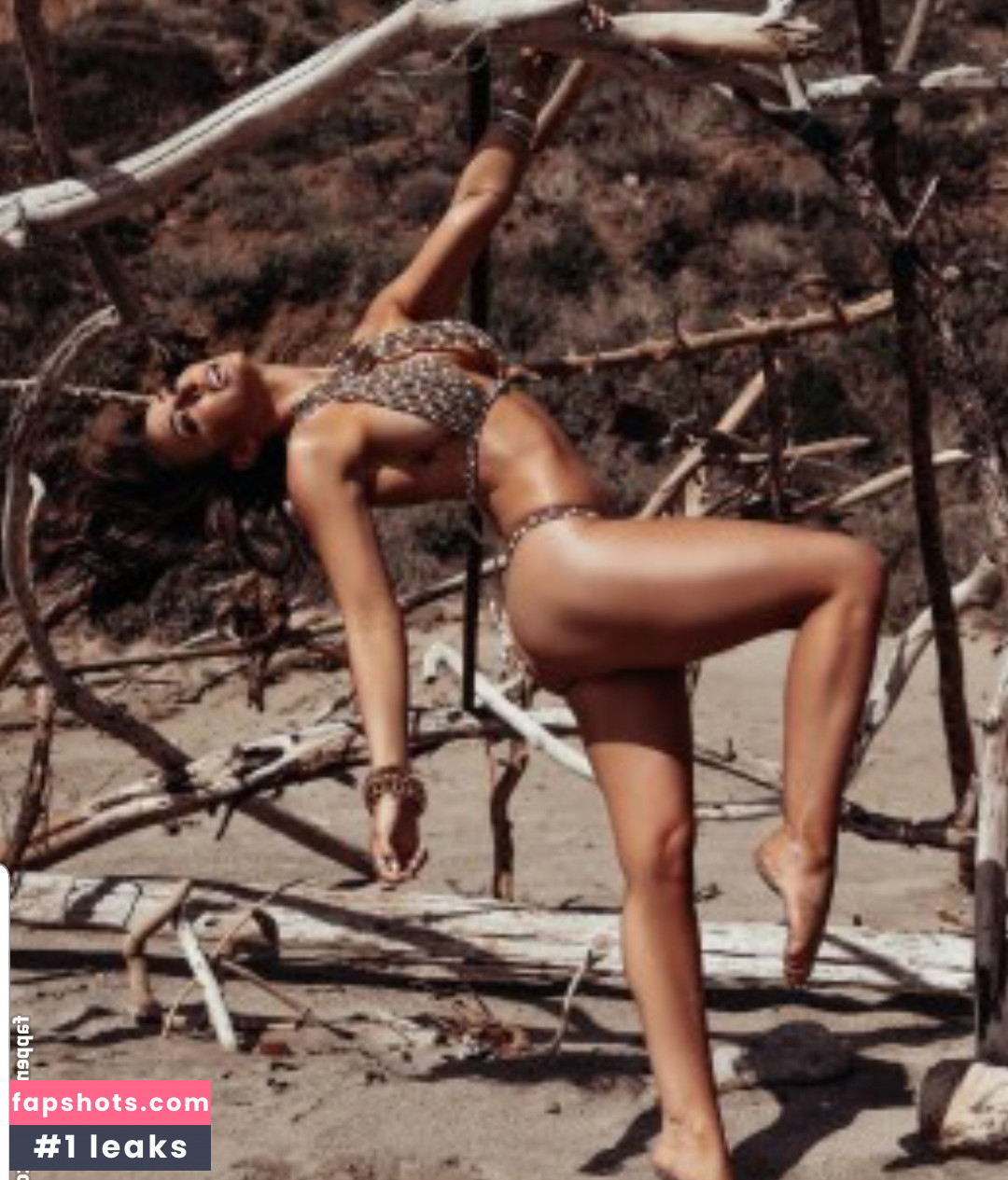 Cassie Lee gallery photo #1308